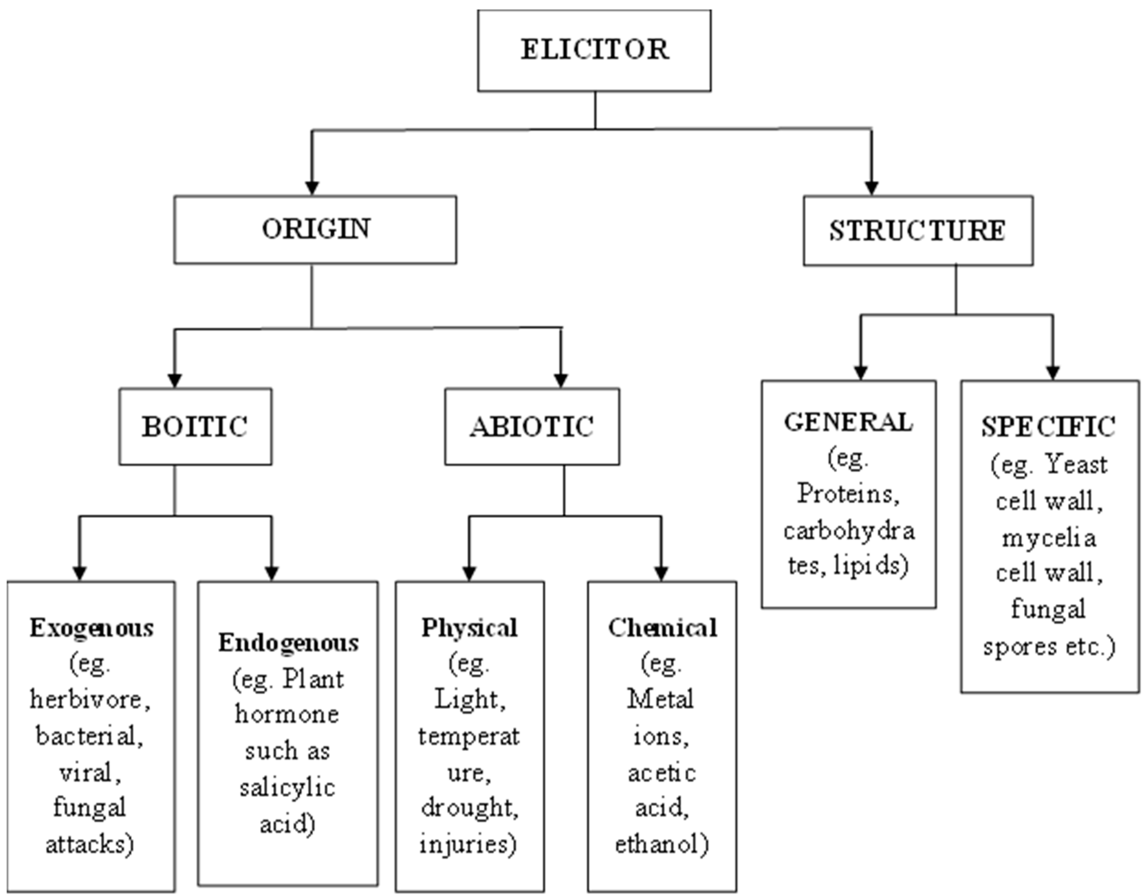 Horticulturae 08 00451 g001