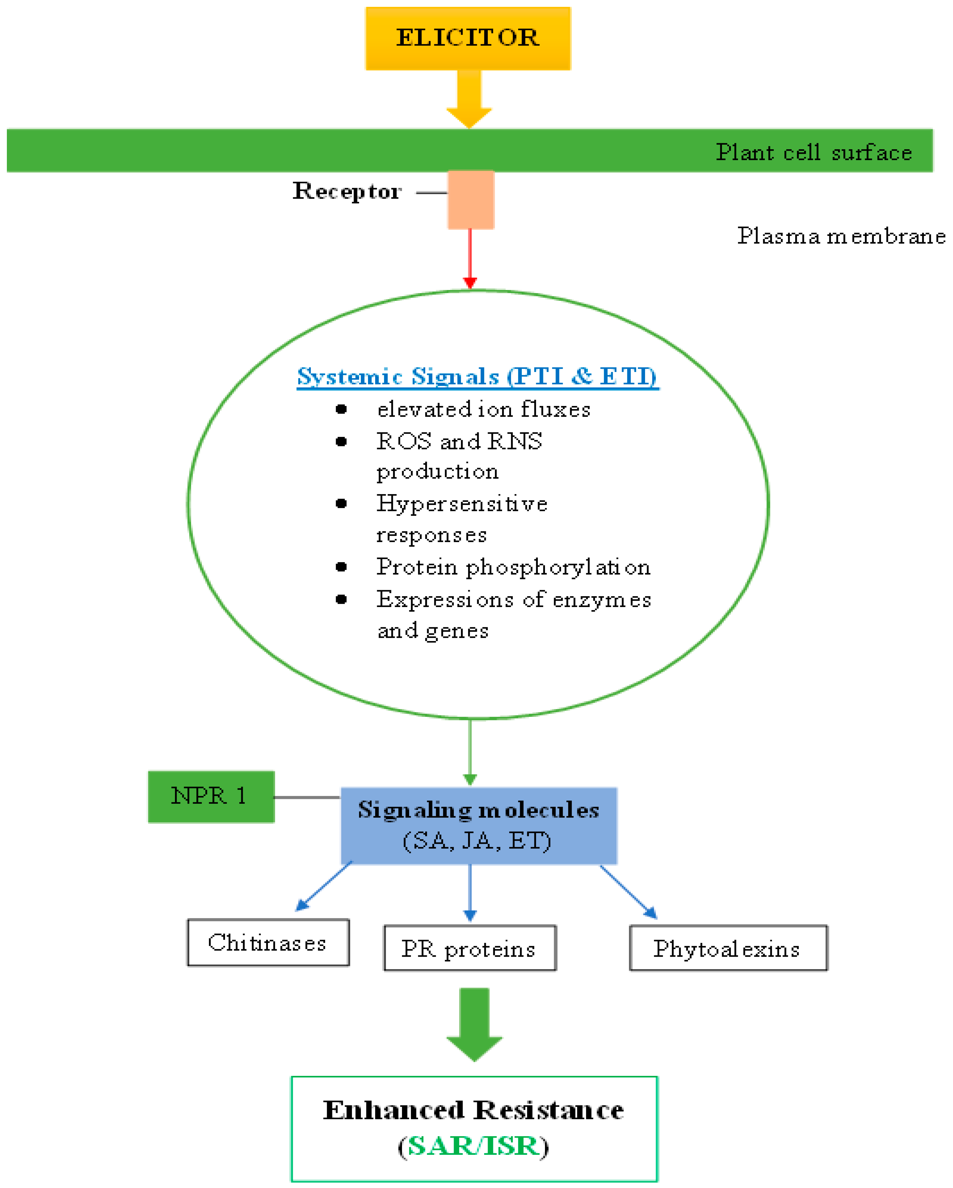 Horticulturae 08 00451 g002