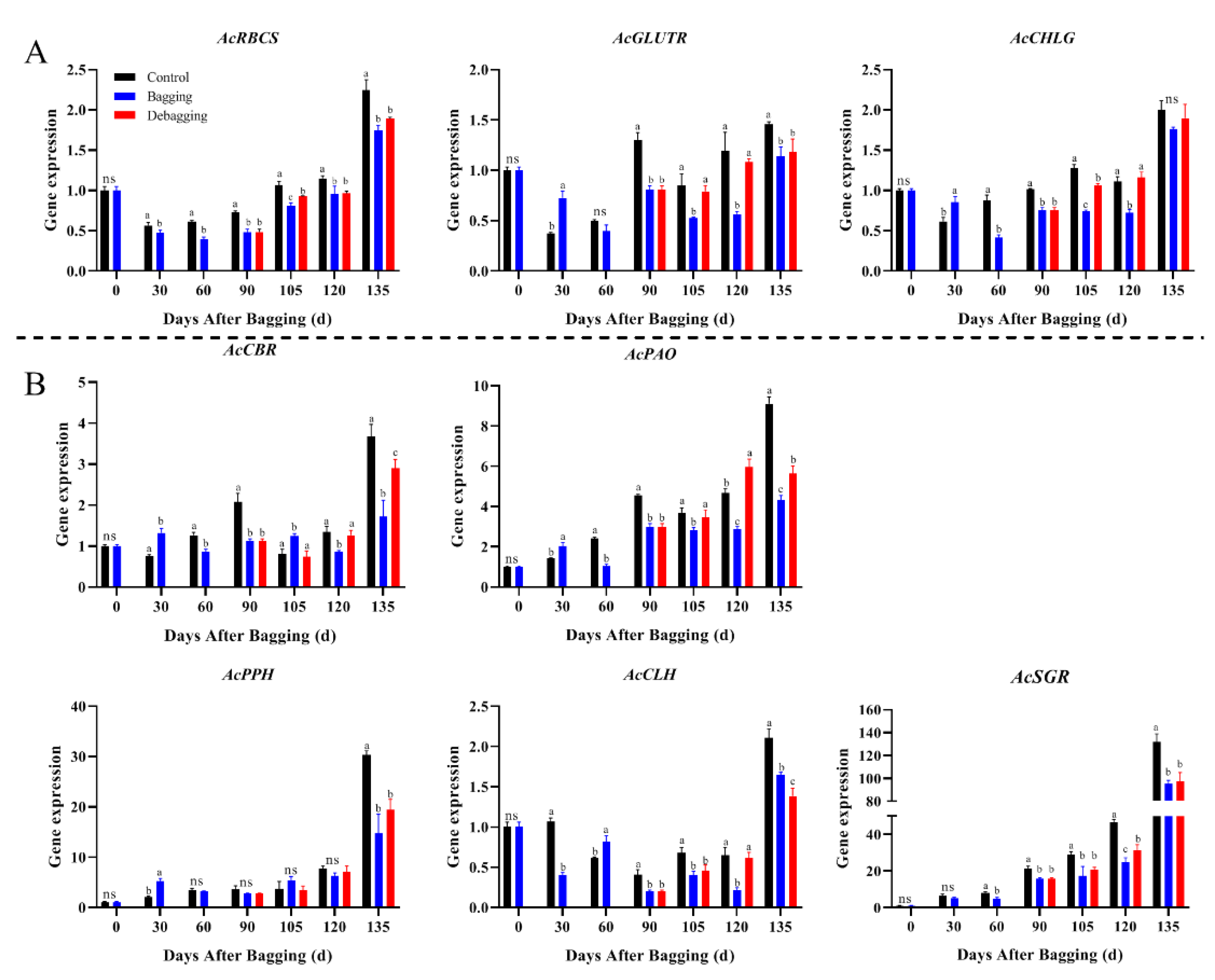 Horticulturae 08 00478 g004