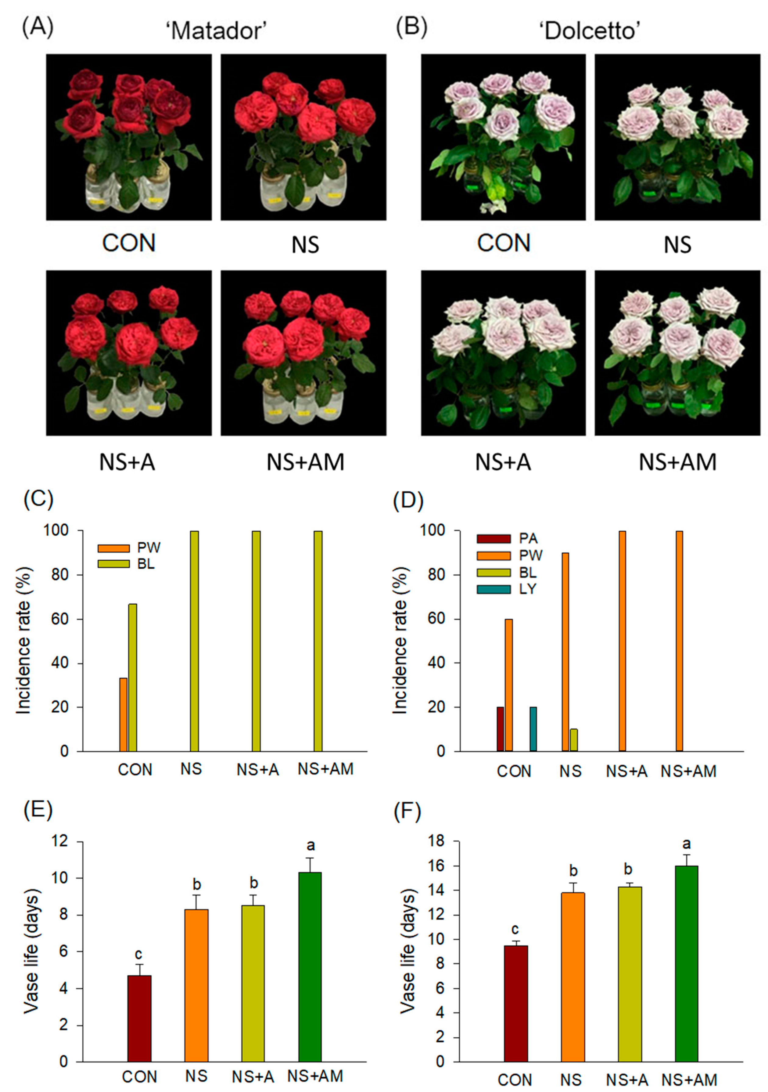 Horticulturae 08 00482 g001
