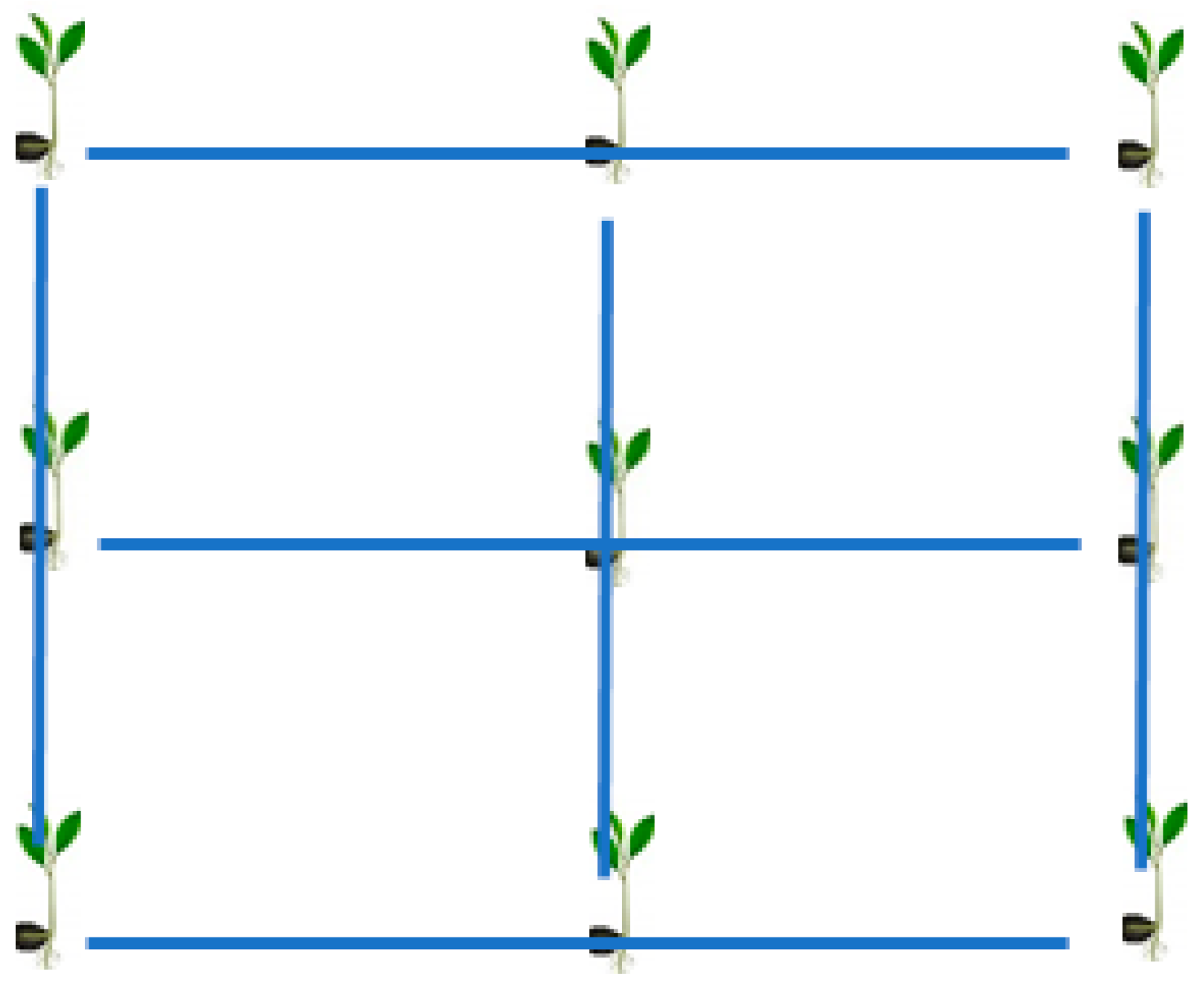 Horticulturae 08 00485 g002