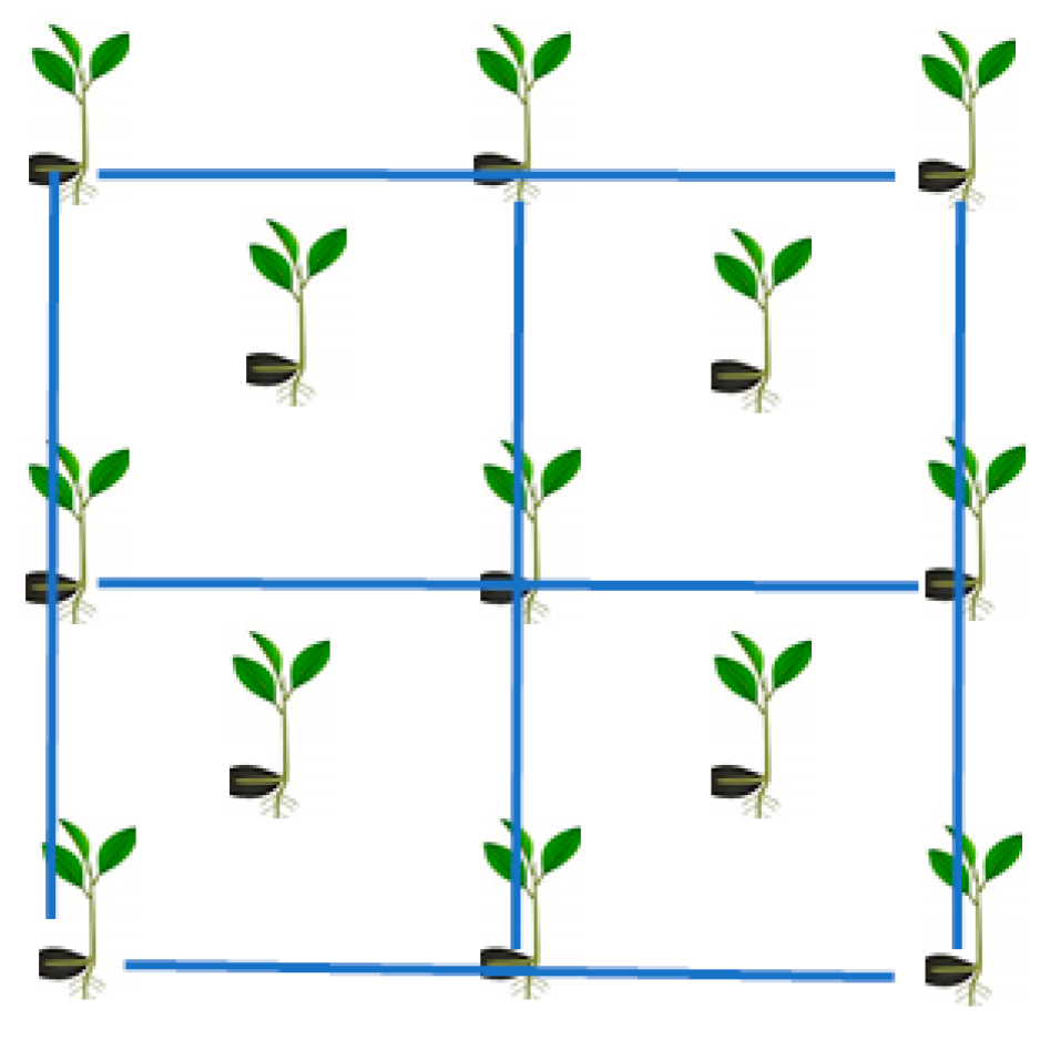 Horticulturae 08 00485 g005