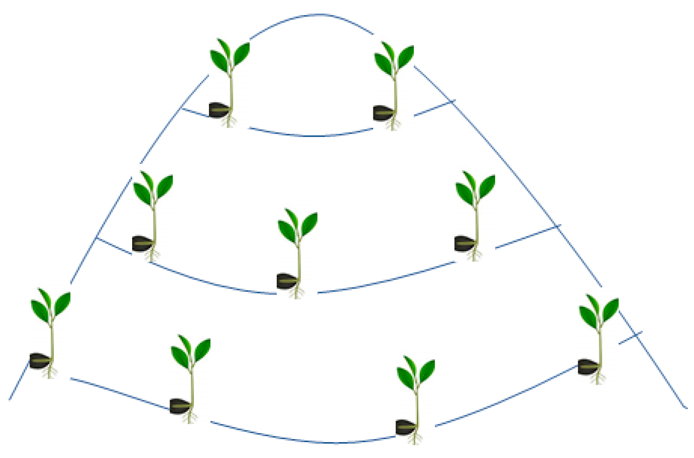 Horticulturae 08 00485 g006