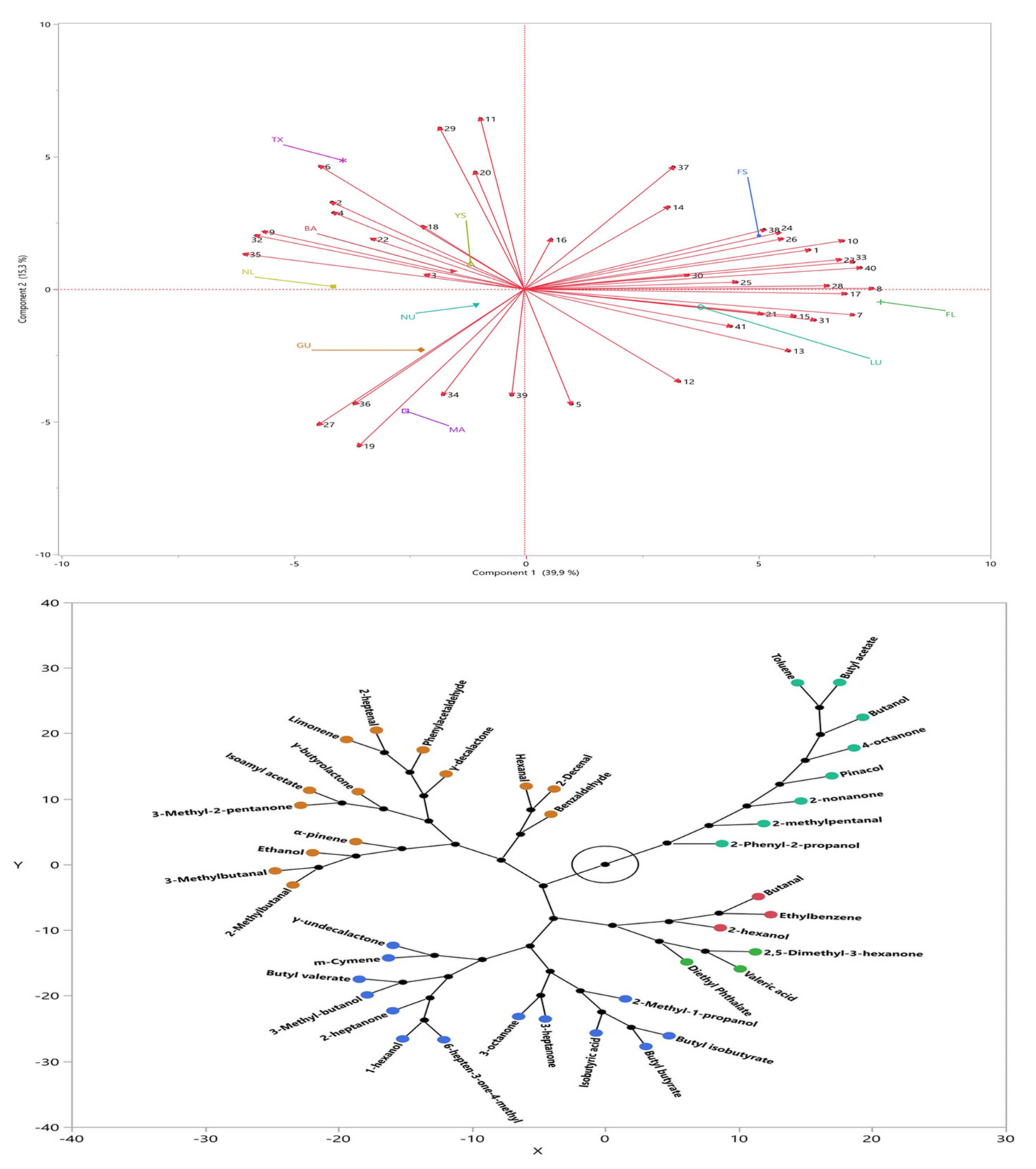 Horticulturae 08 00488 g002