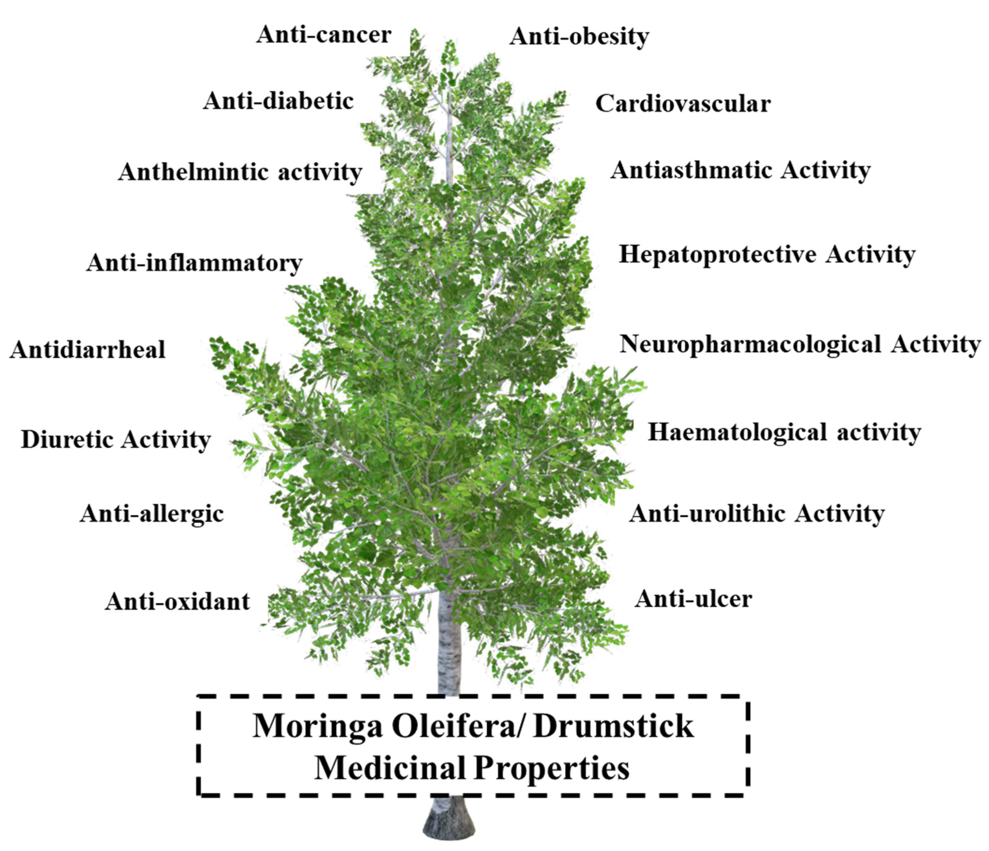Horticulturae 08 00492 g003