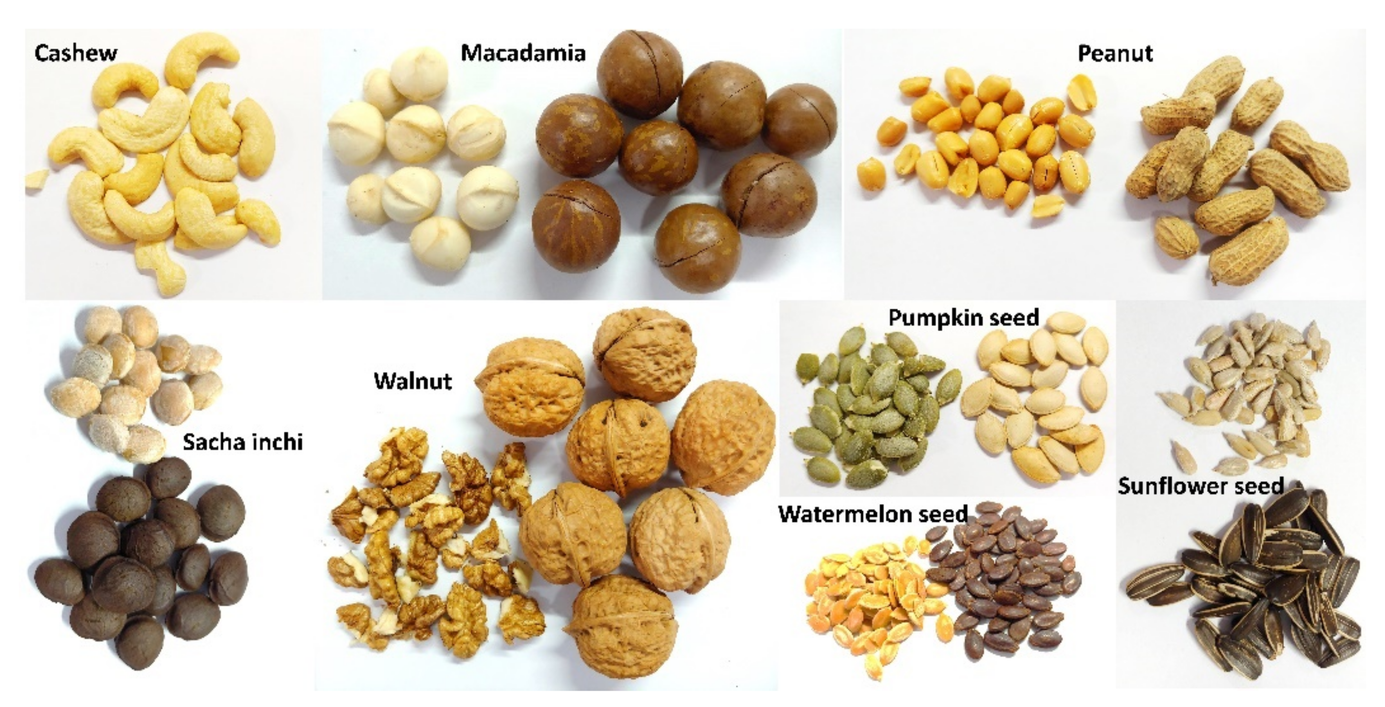 Horticulturae 08 00521 g001