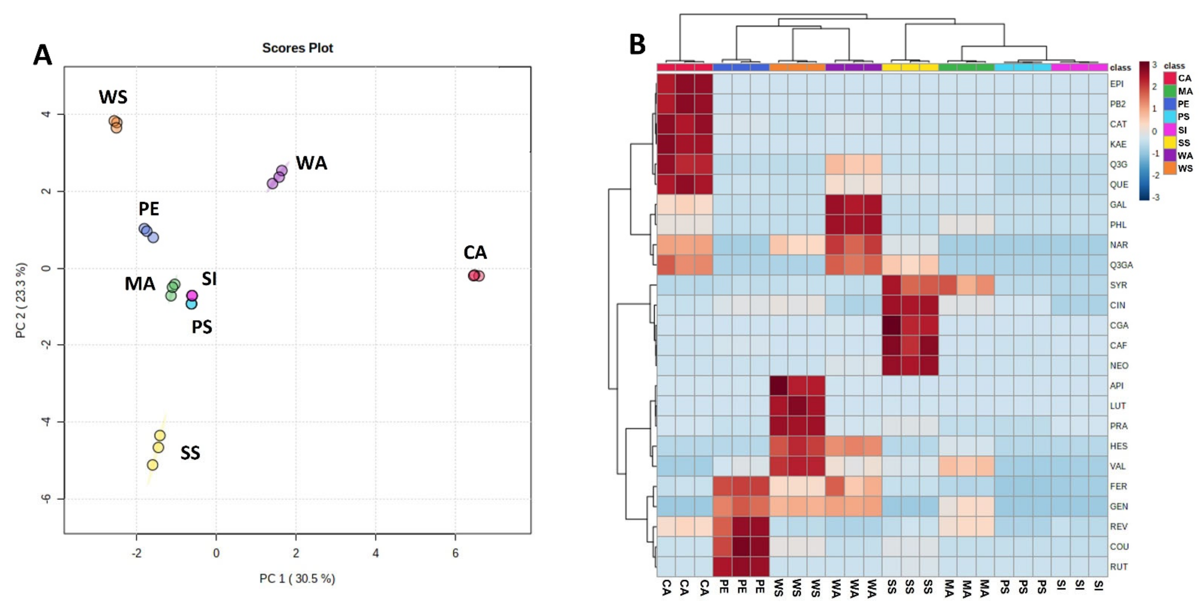 Horticulturae 08 00521 g002