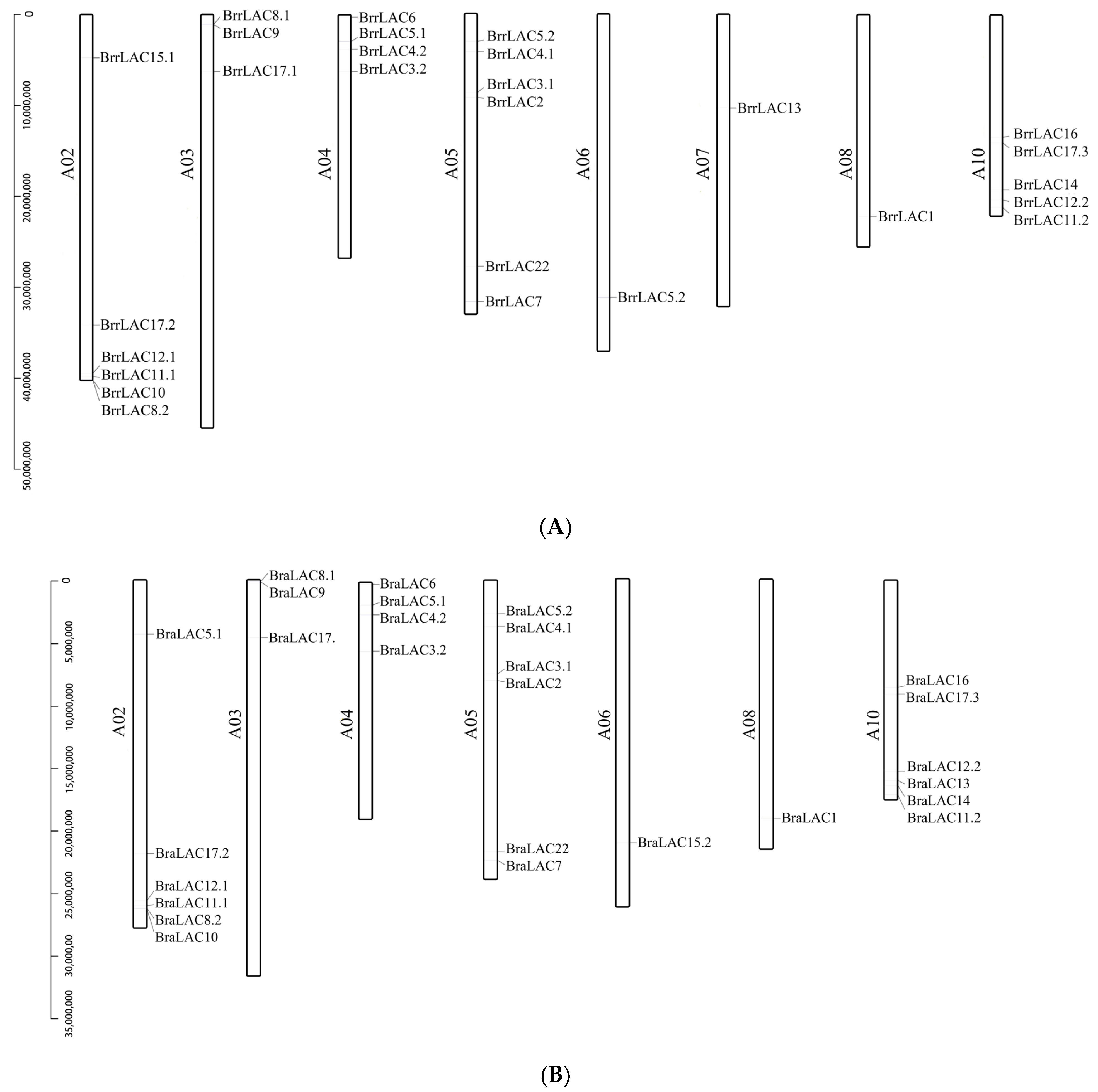 Horticulturae 08 00522 g004