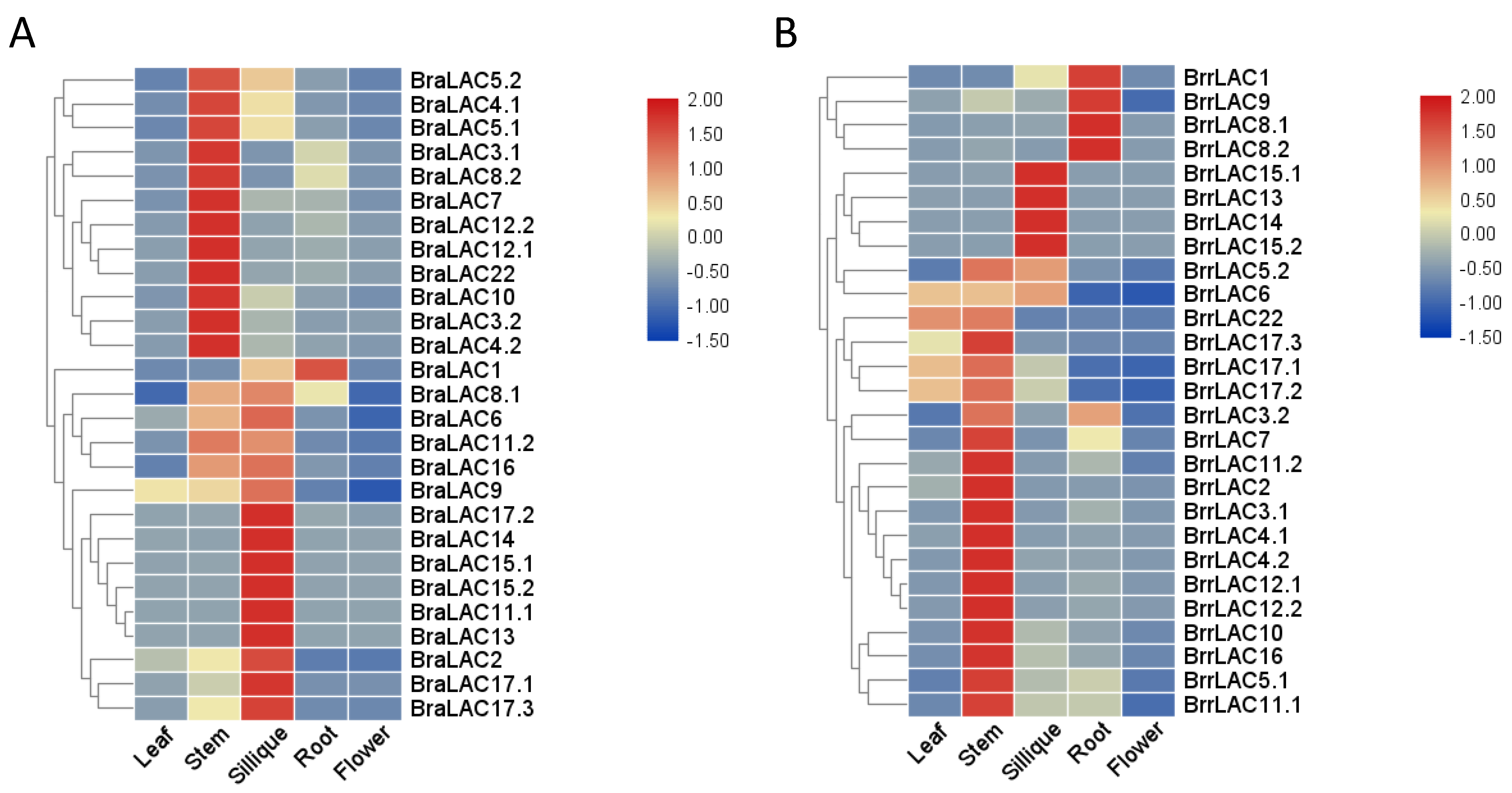 Horticulturae 08 00522 g005