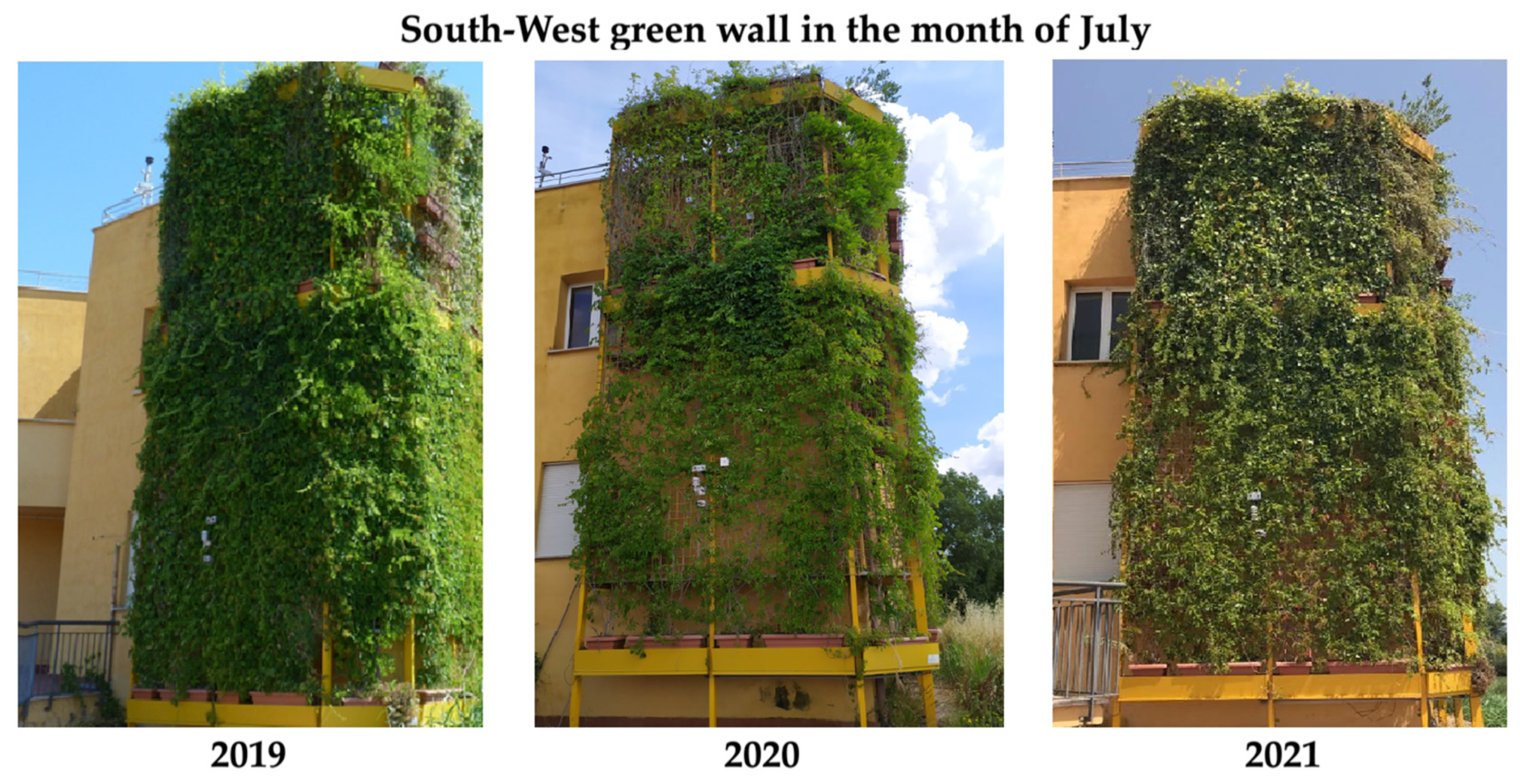 Horticulturae 08 00526 g008 Horticulturae 08 00526 g008