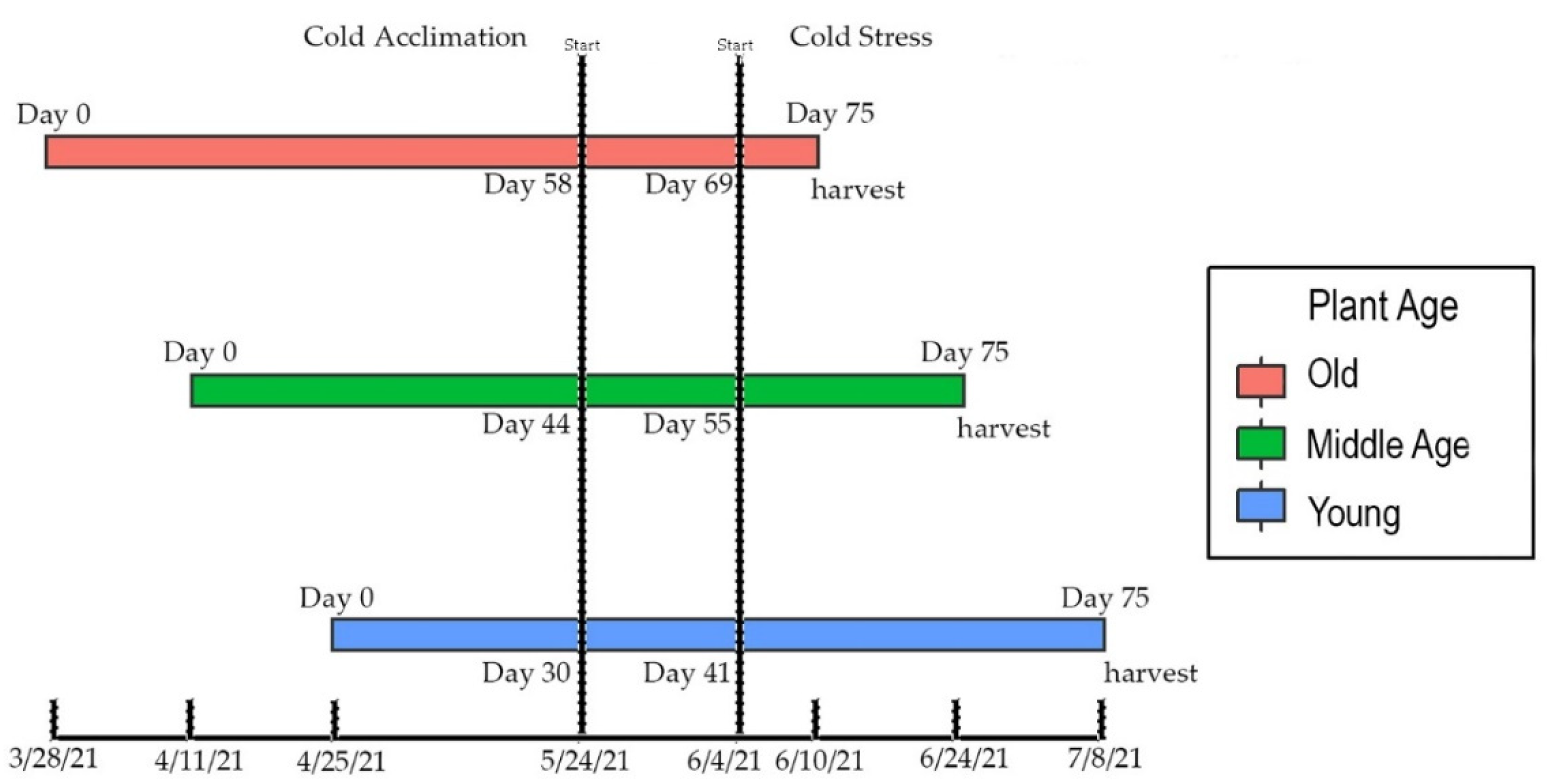 Horticulturae 08 00531 g001