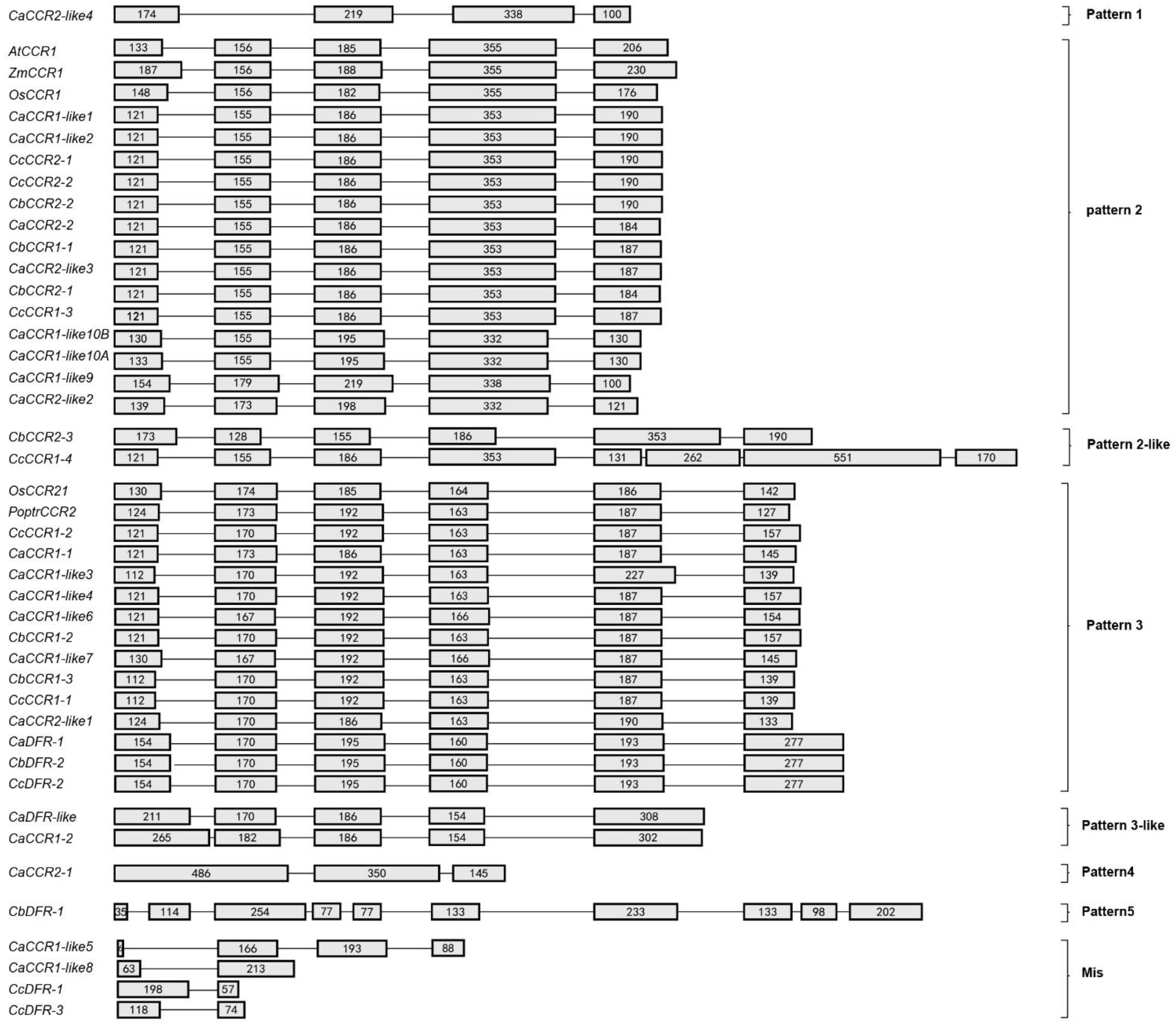 Horticulturae 08 00537 g001