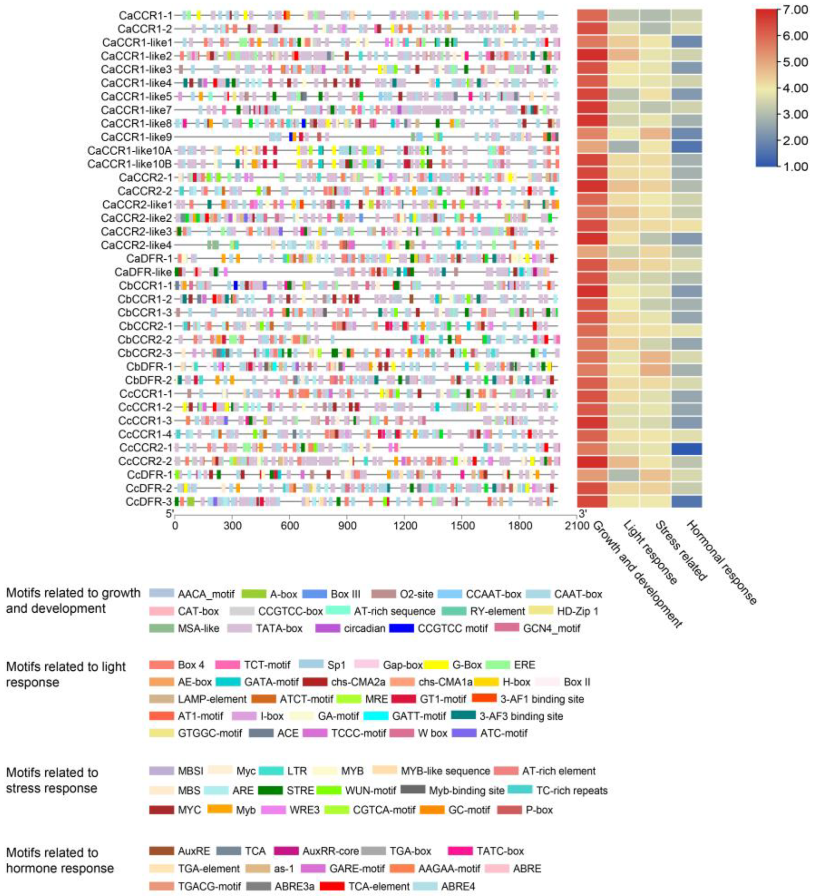 Horticulturae 08 00537 g002