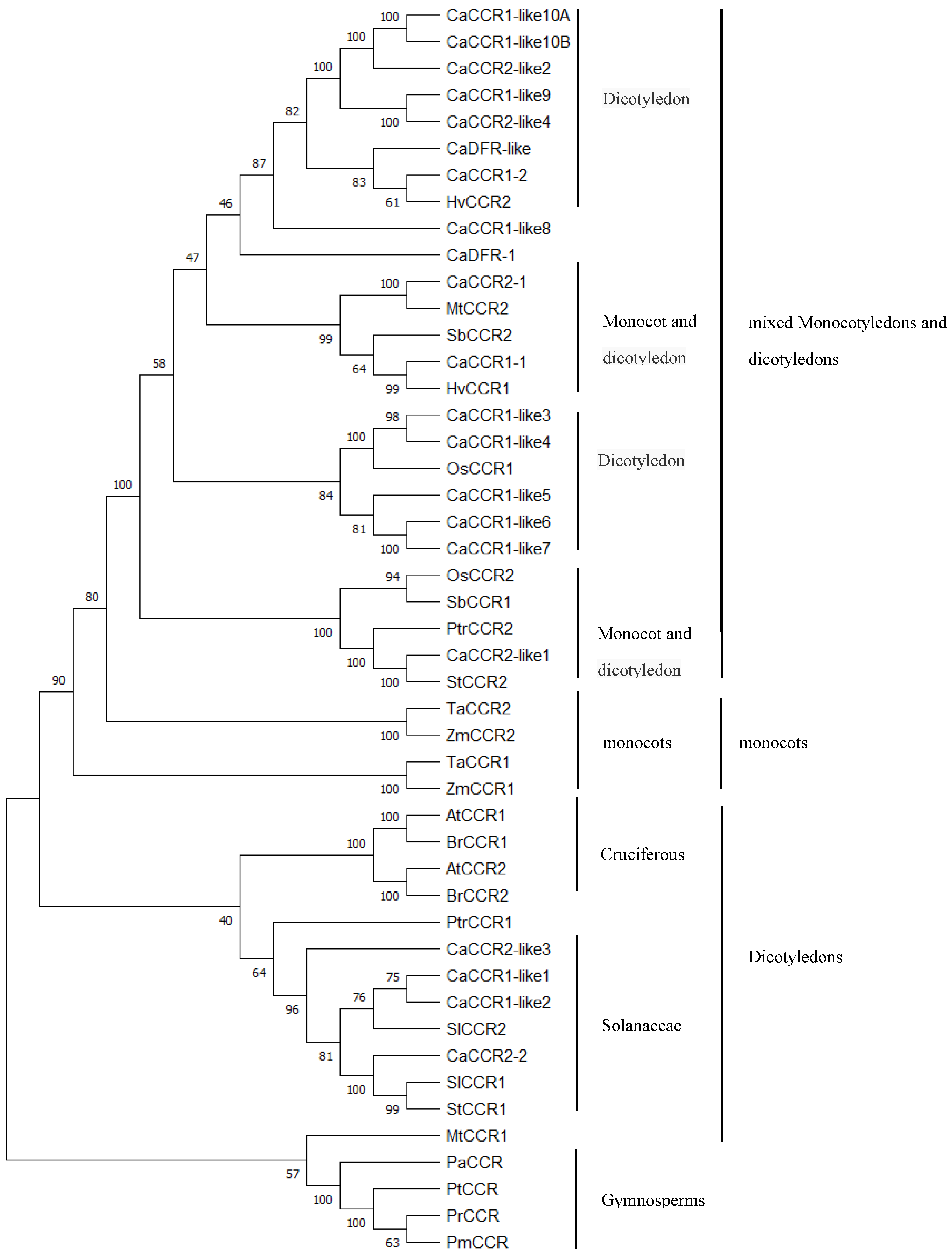 Horticulturae 08 00537 g003