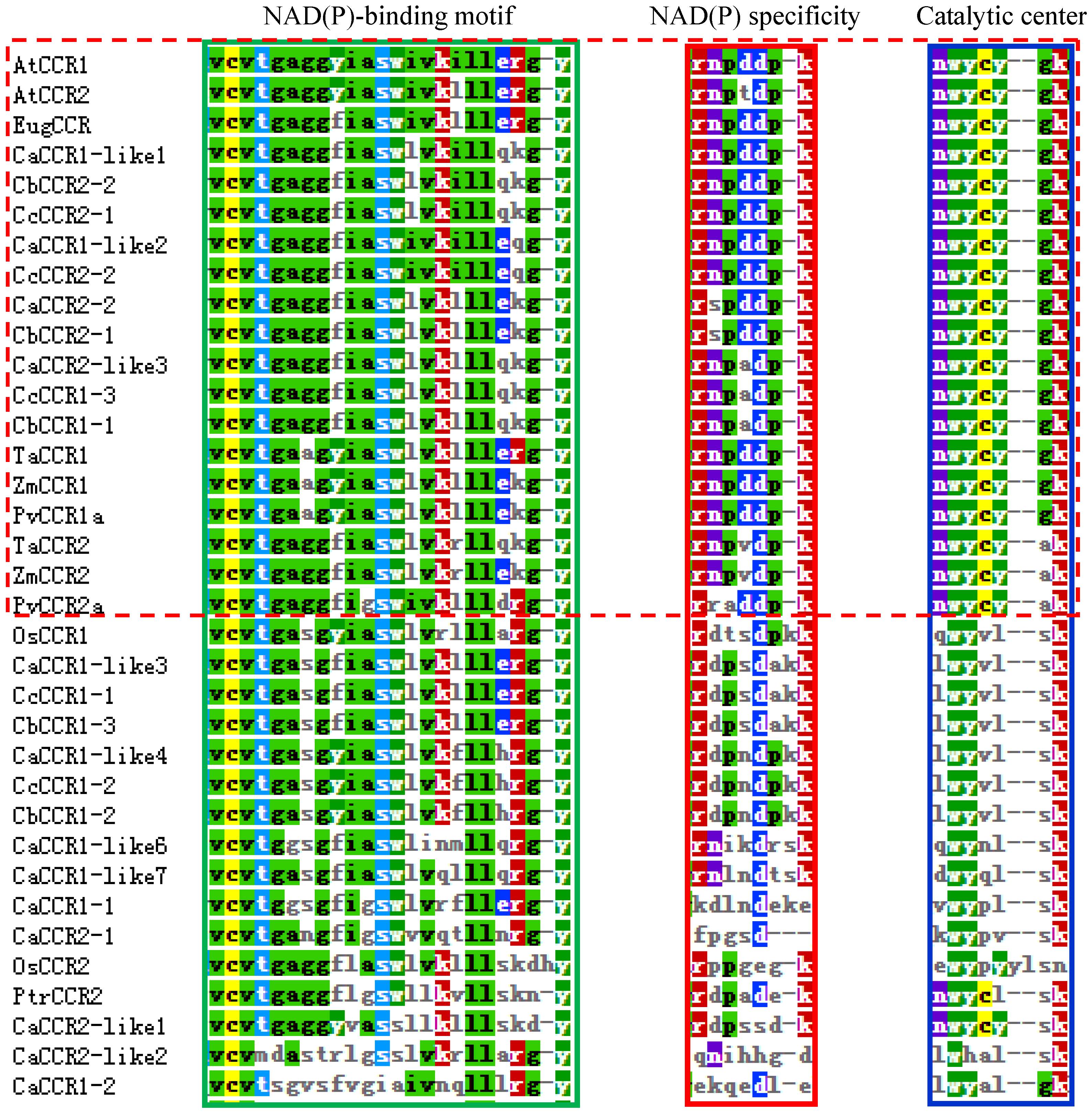 Horticulturae 08 00537 g004