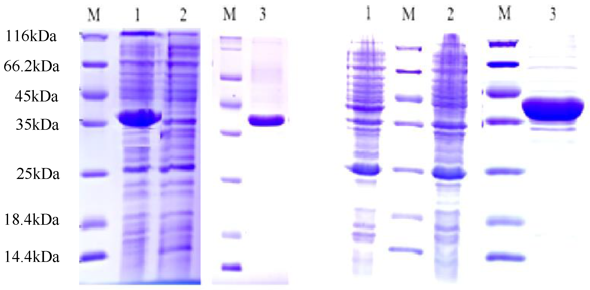 Horticulturae 08 00537 g005