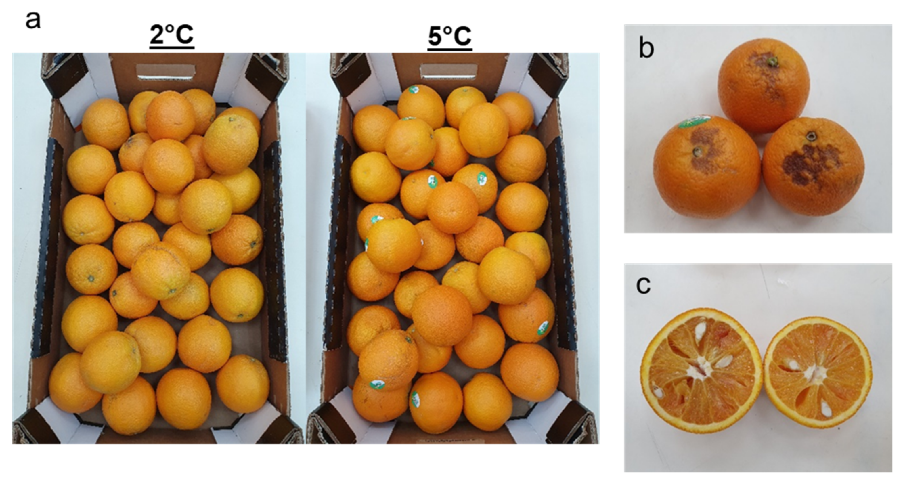 Horticulturae 08 00570 g002