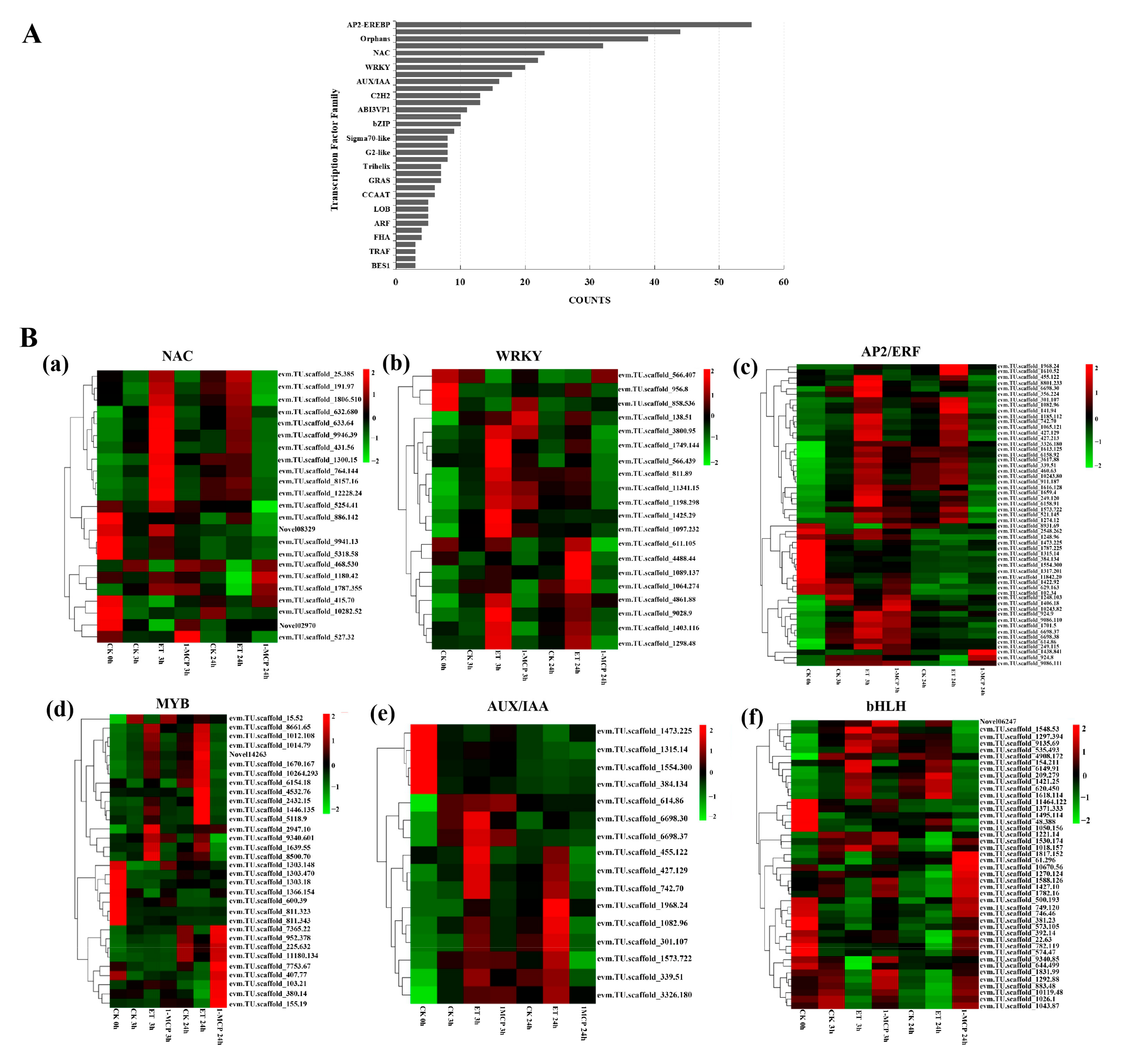 Horticulturae 08 00573 g005
