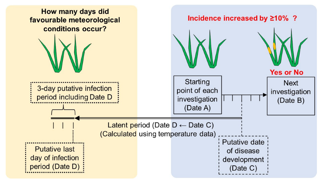 Horticulturae 08 00578 g004
