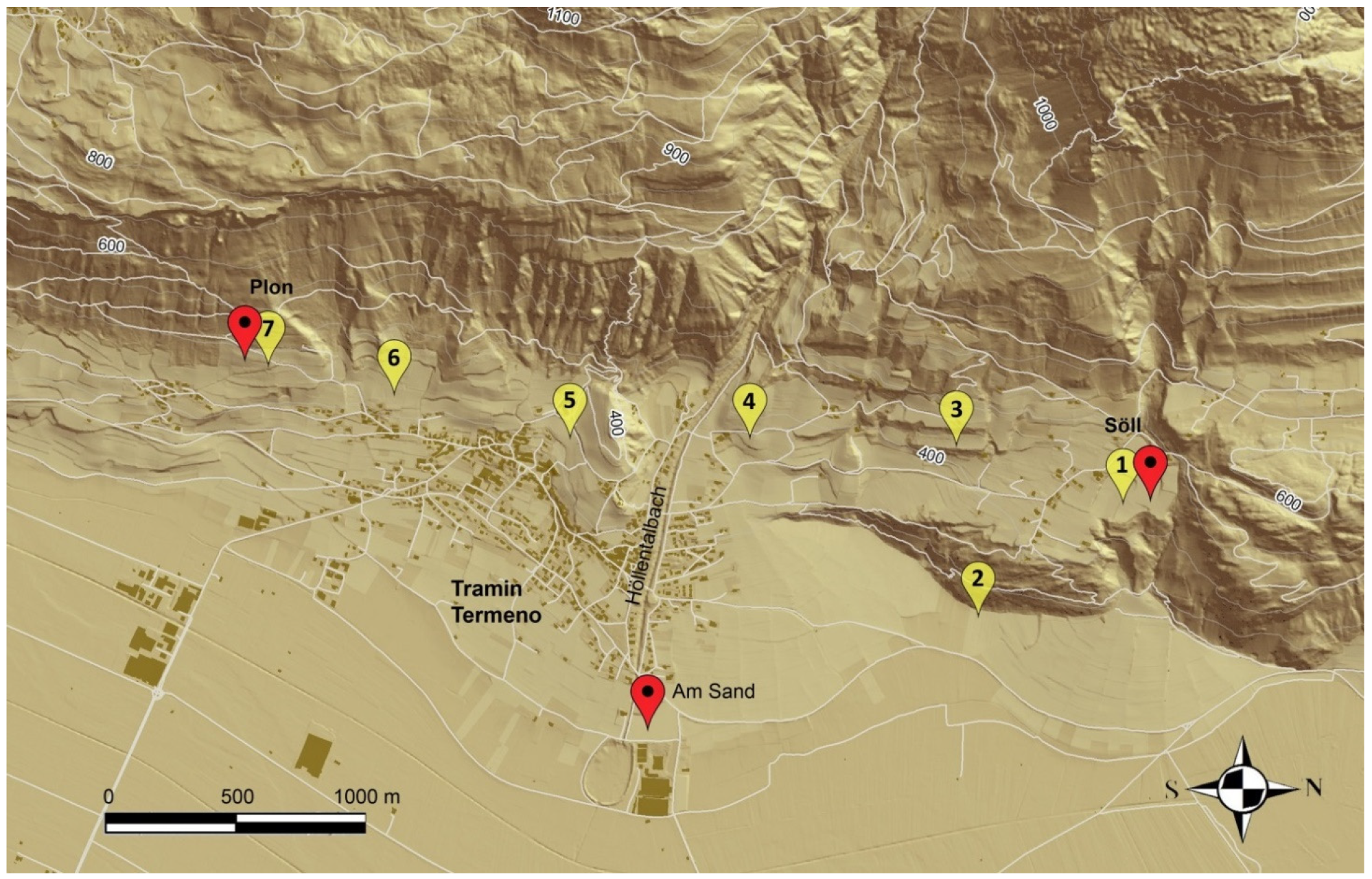 Horticulturae 08 00586 g001