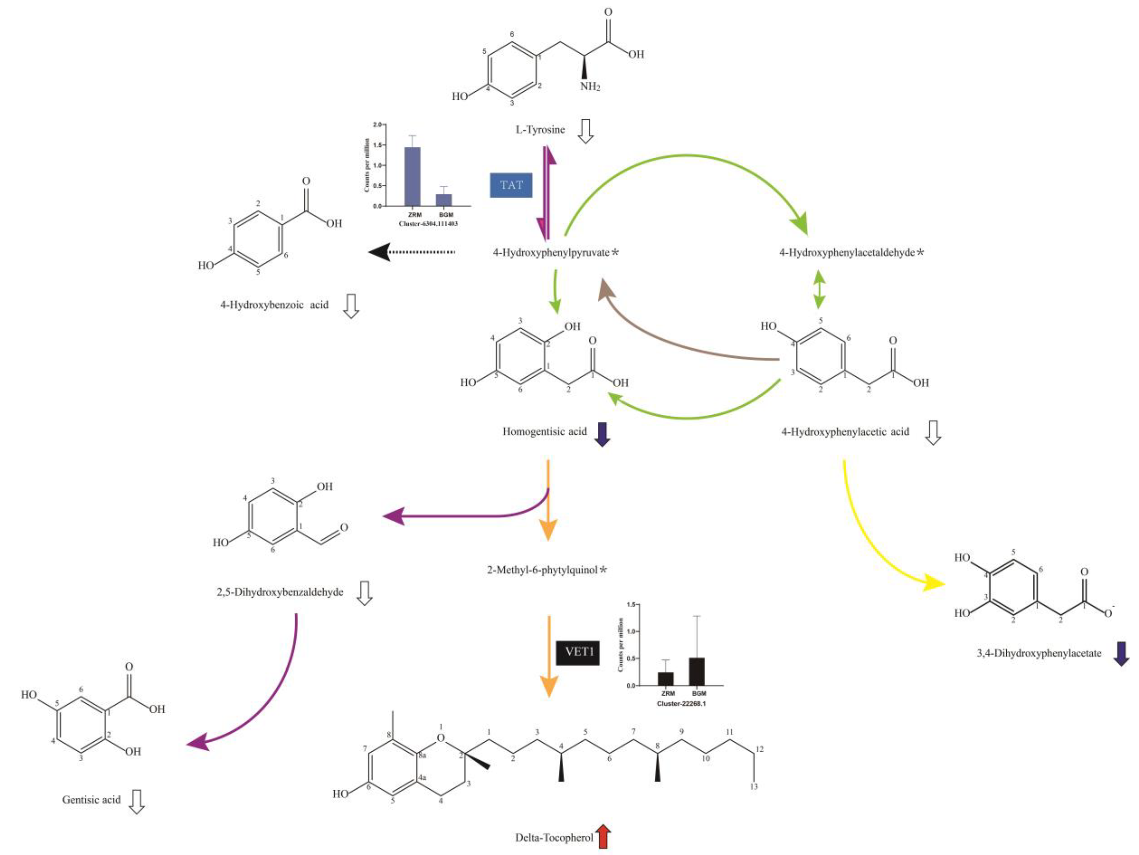 Horticulturae 08 00594 g005