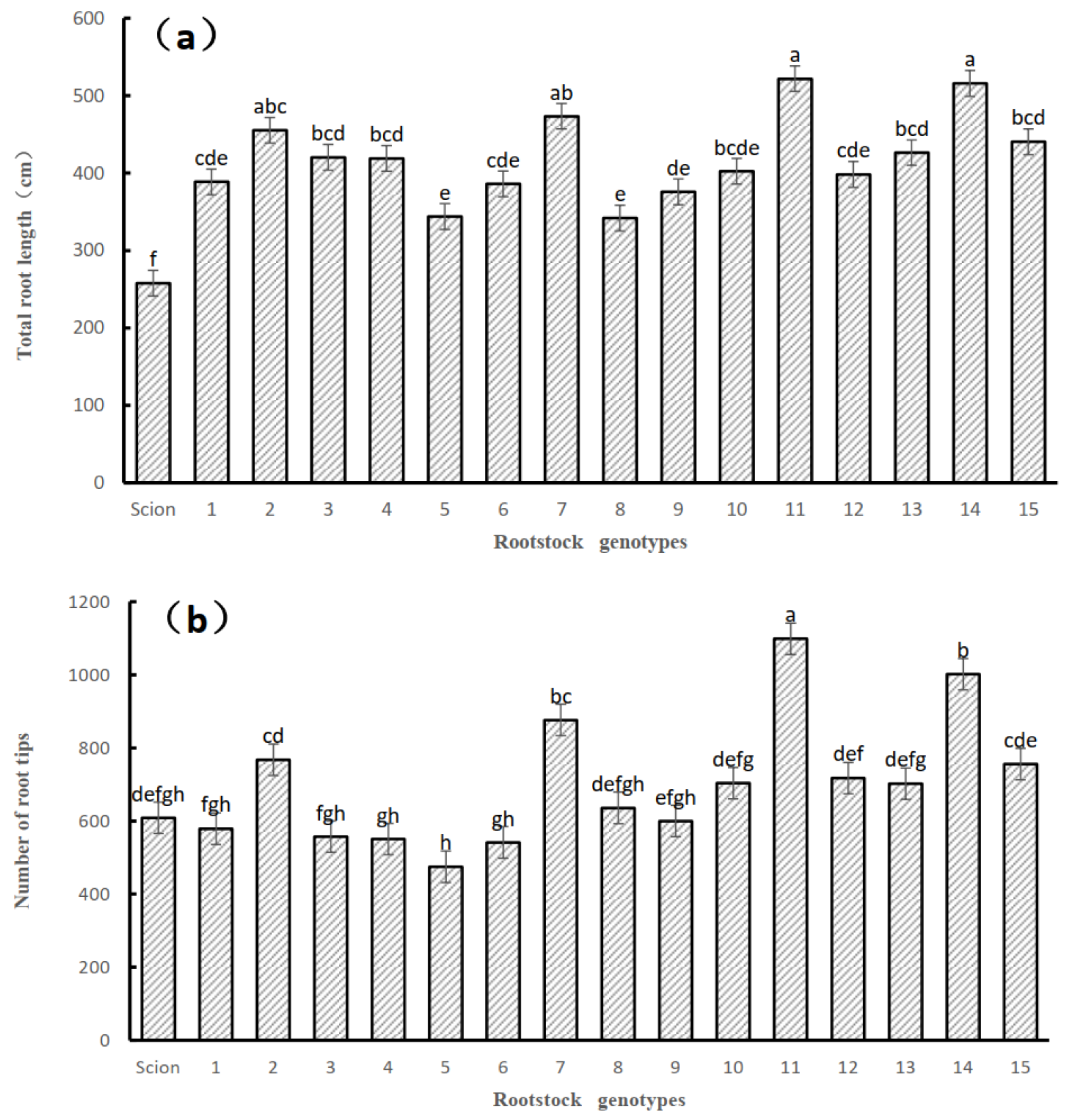 Horticulturae 08 00595 g002