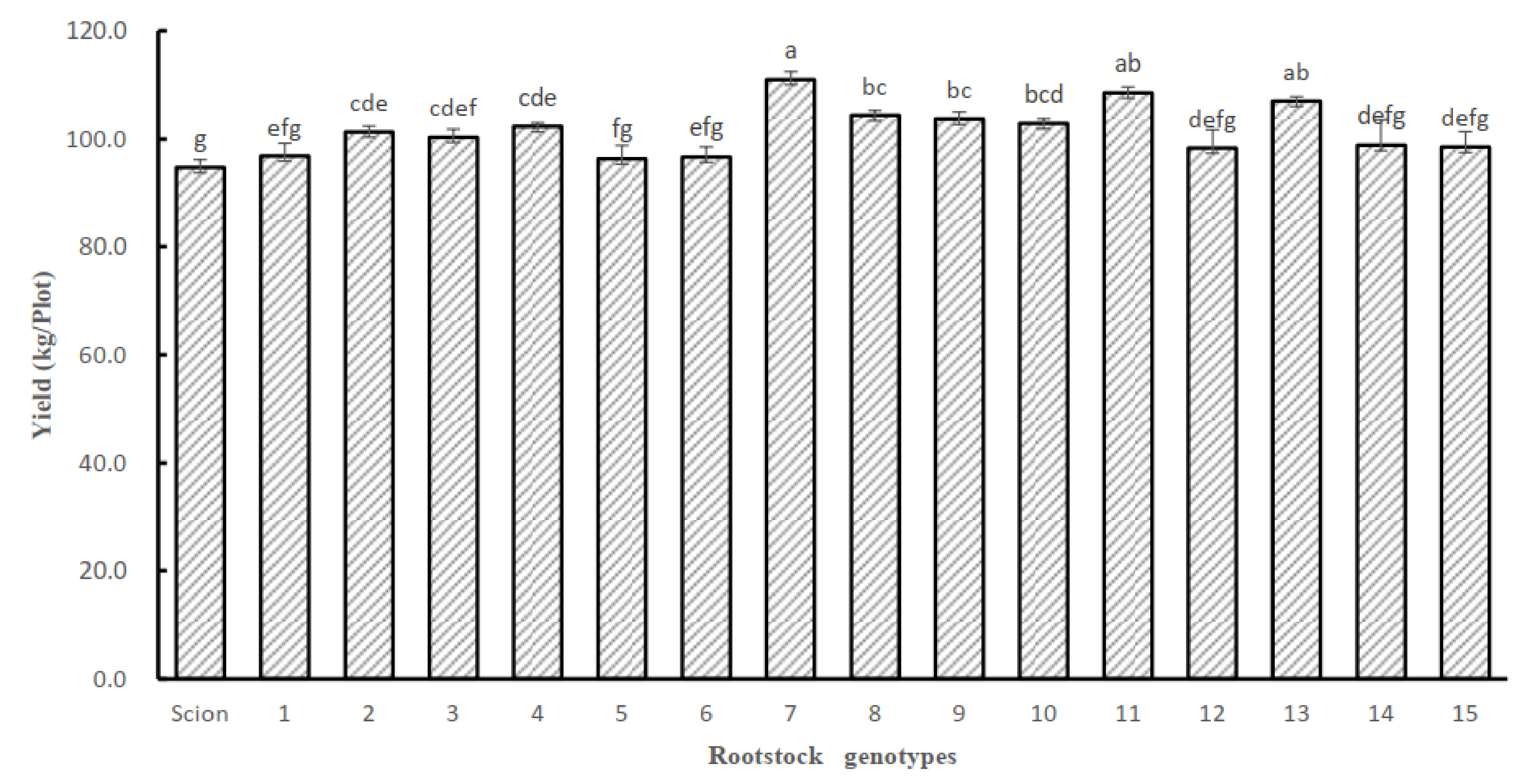 Horticulturae 08 00595 g005