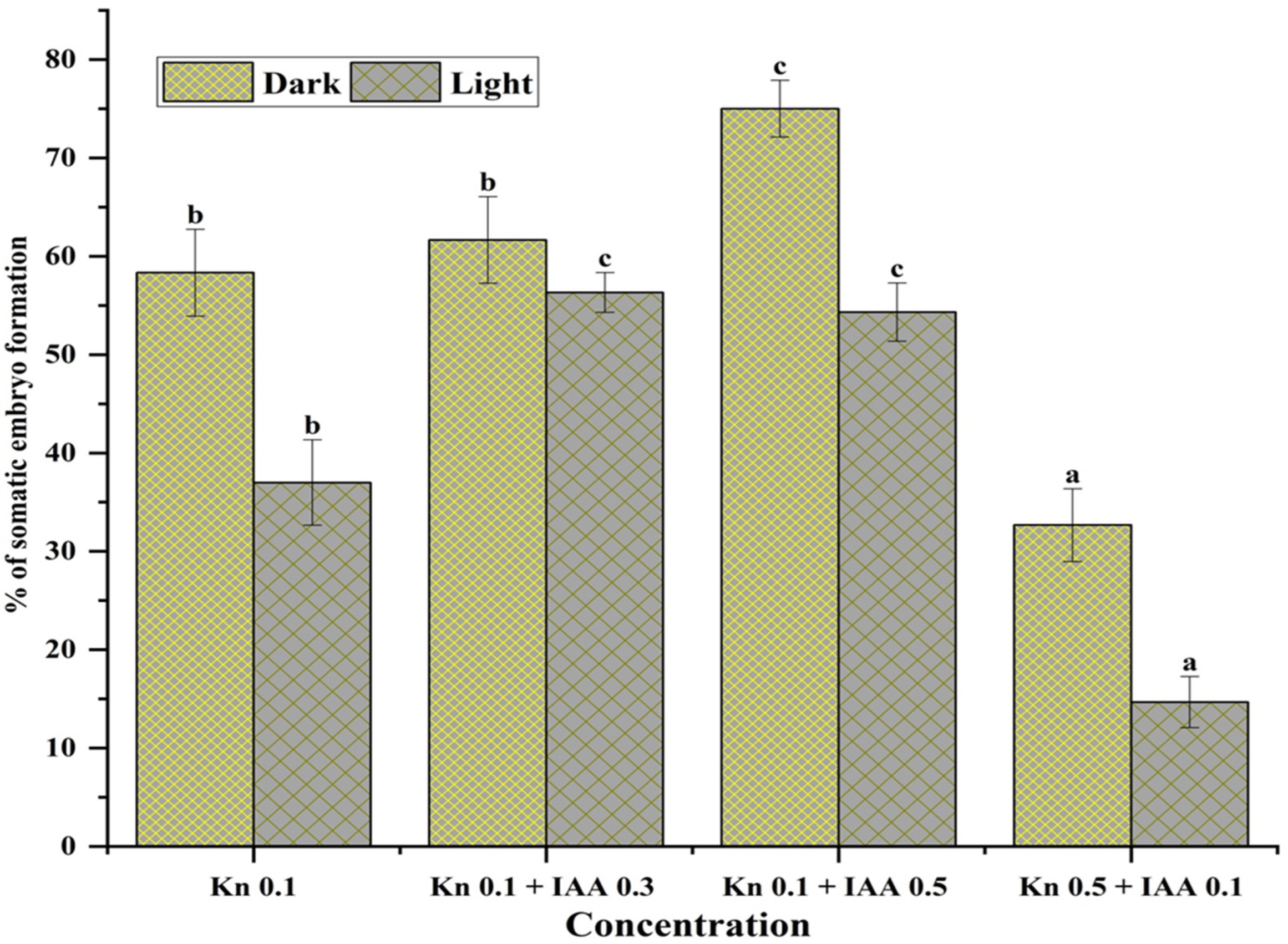 Horticulturae 08 00599 g003
