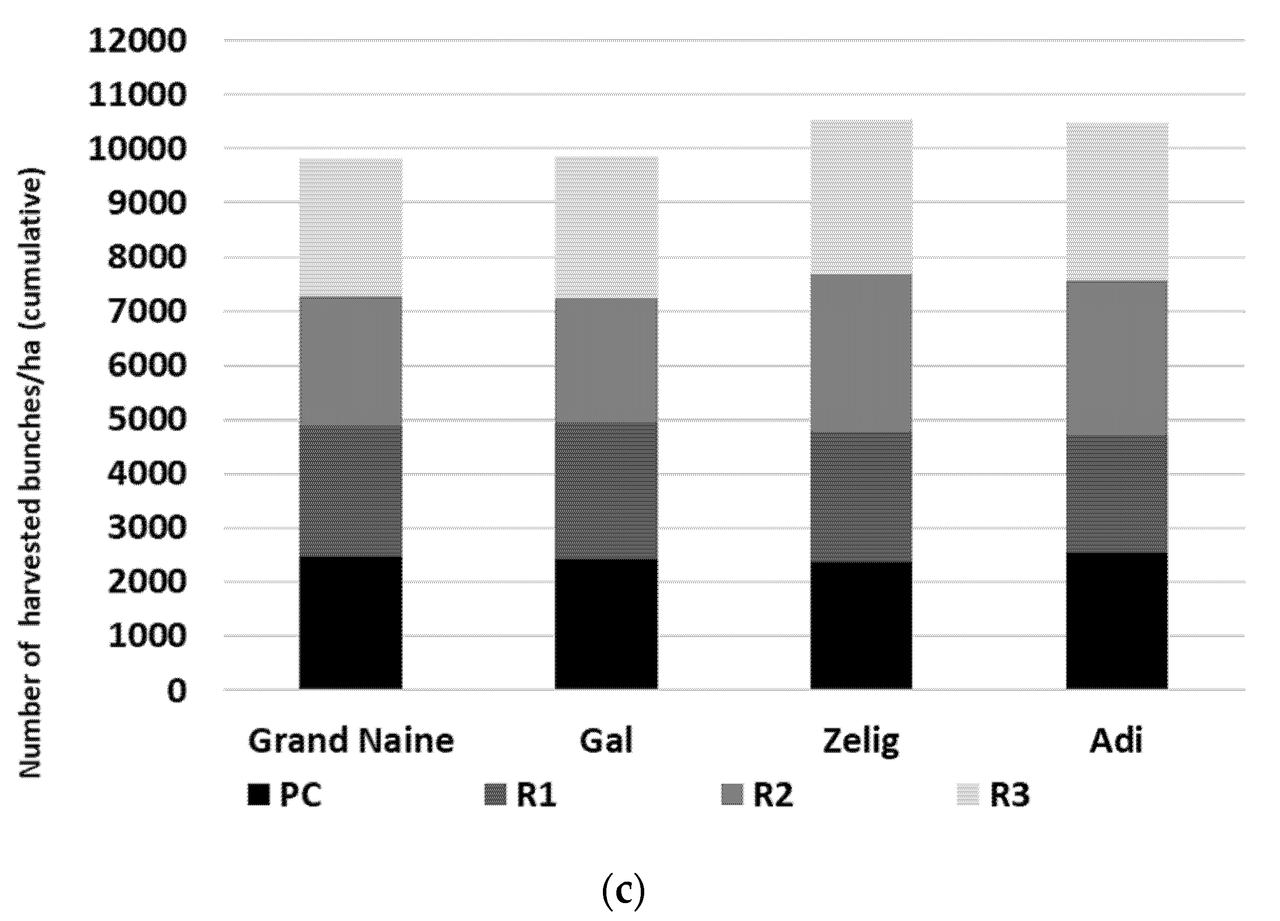 Horticulturae 08 00619 g001b Horticulturae 08 00619 g001b