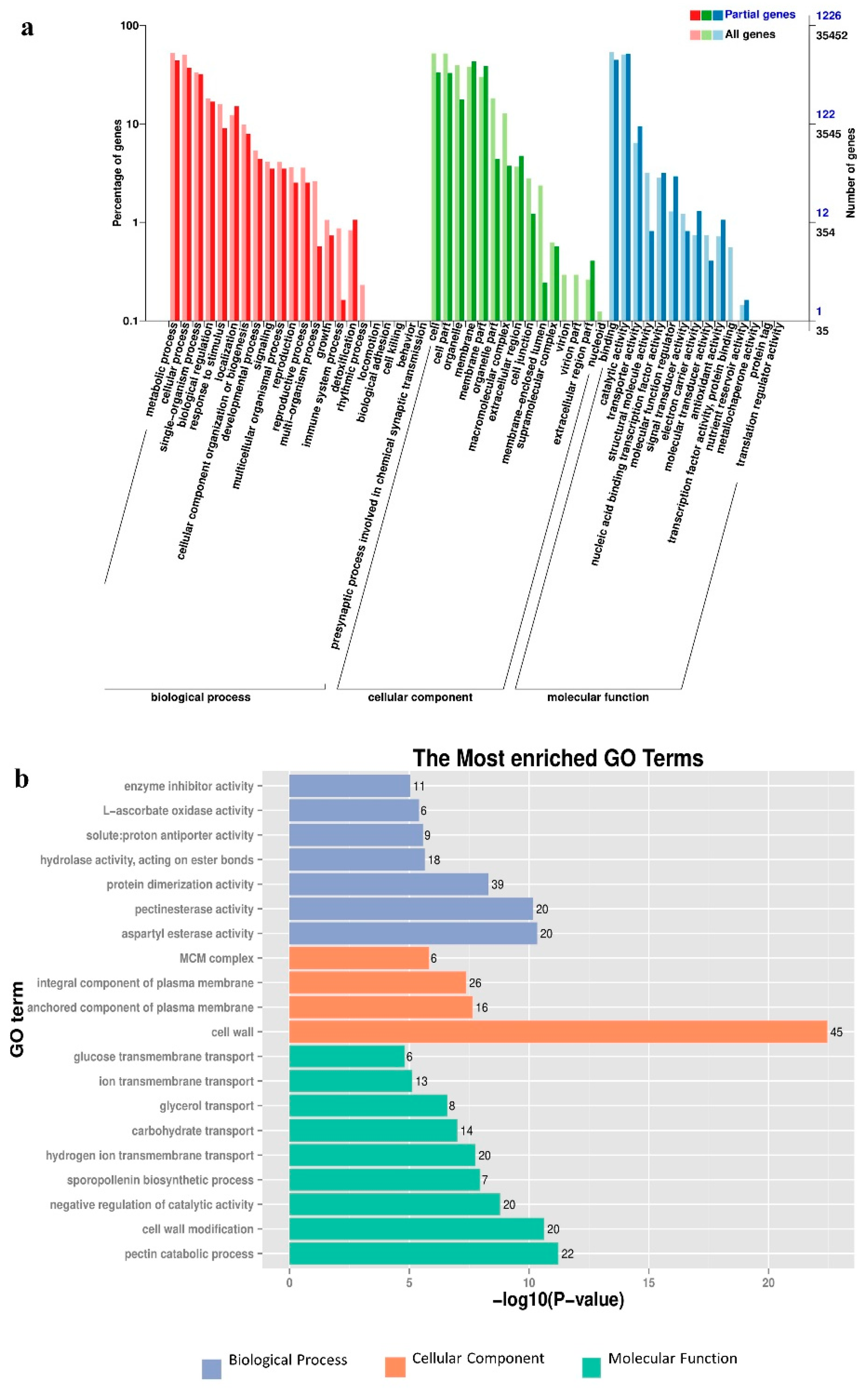 Horticulturae 08 00625 g004