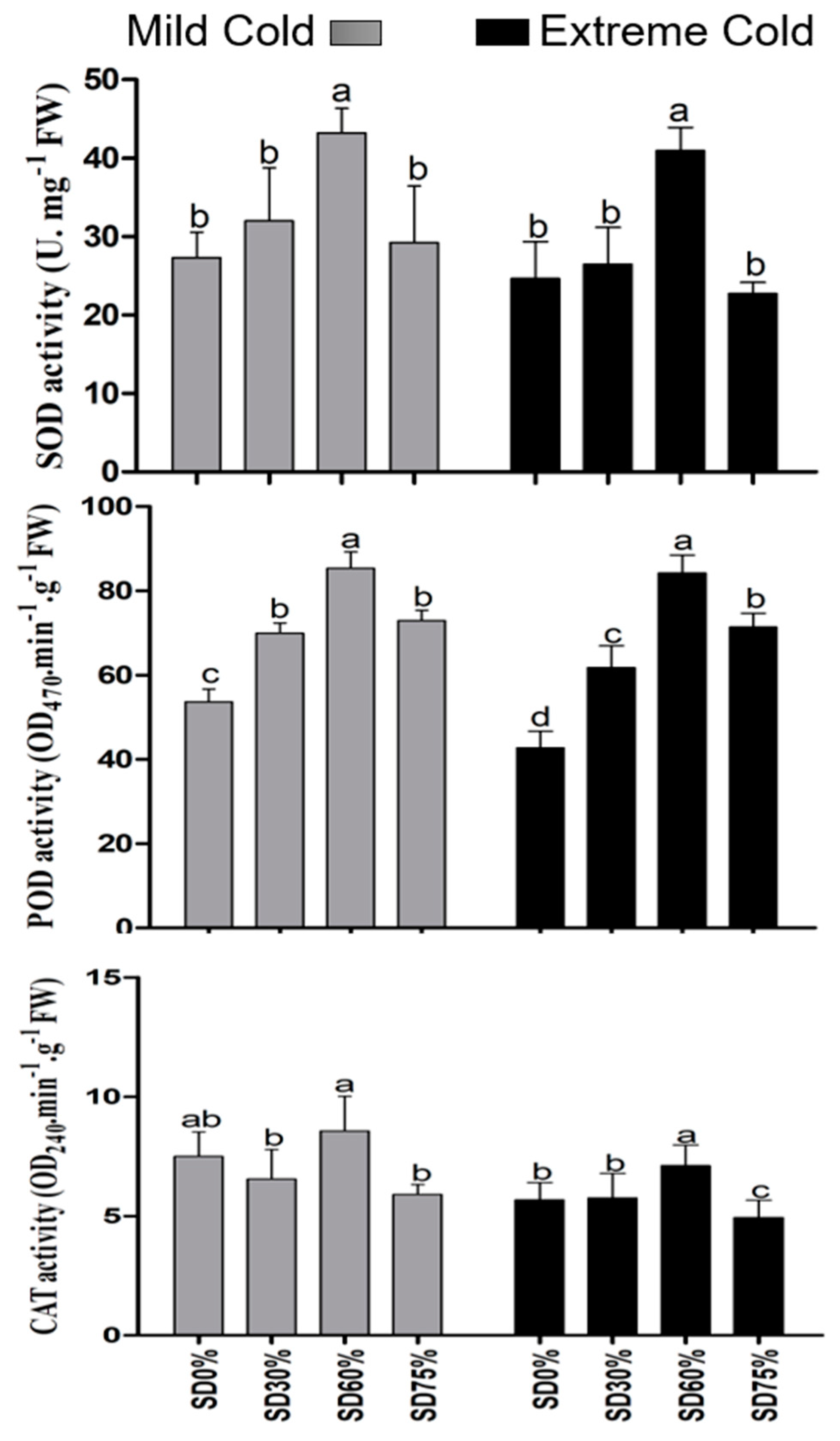 Horticulturae 08 00637 g008