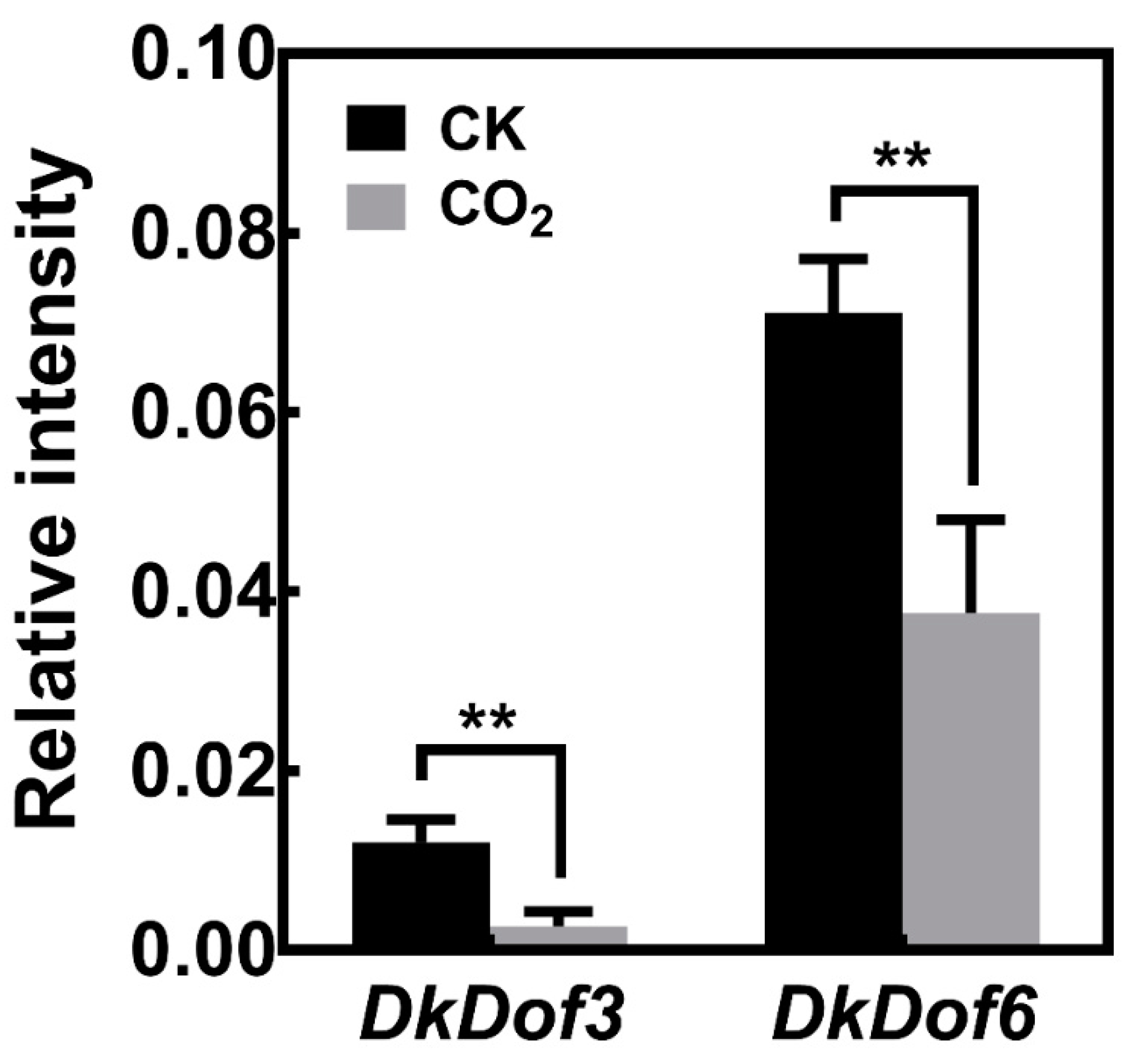 Horticulturae 08 00643 g006 Horticulturae 08 00643 g006