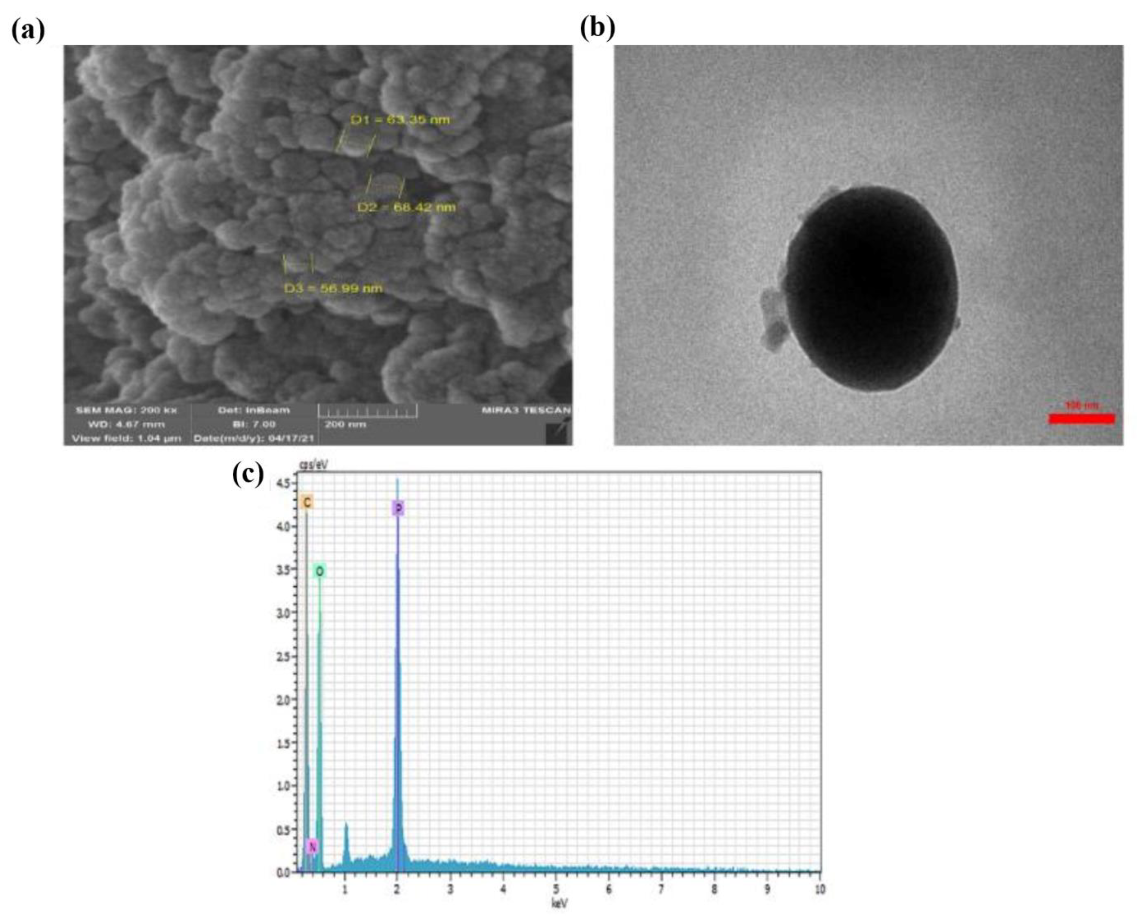 Horticulturae 08 00648 g001