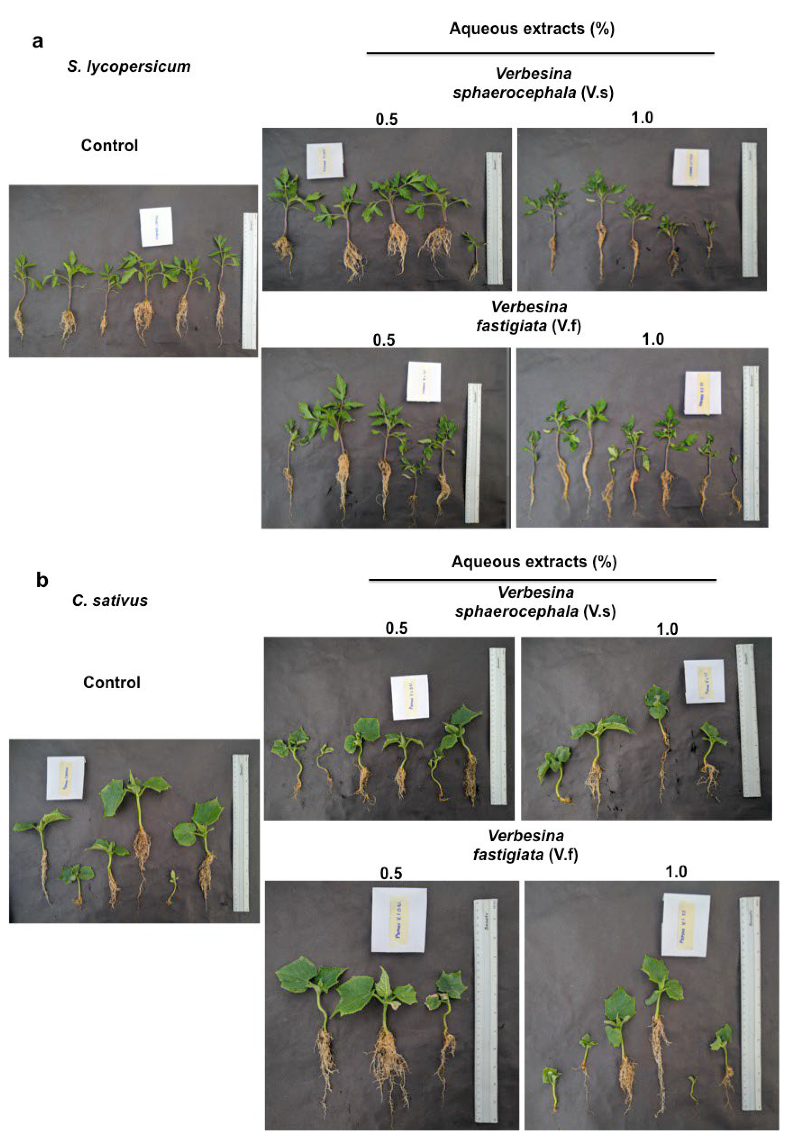 Horticulturae 08 00652 g007