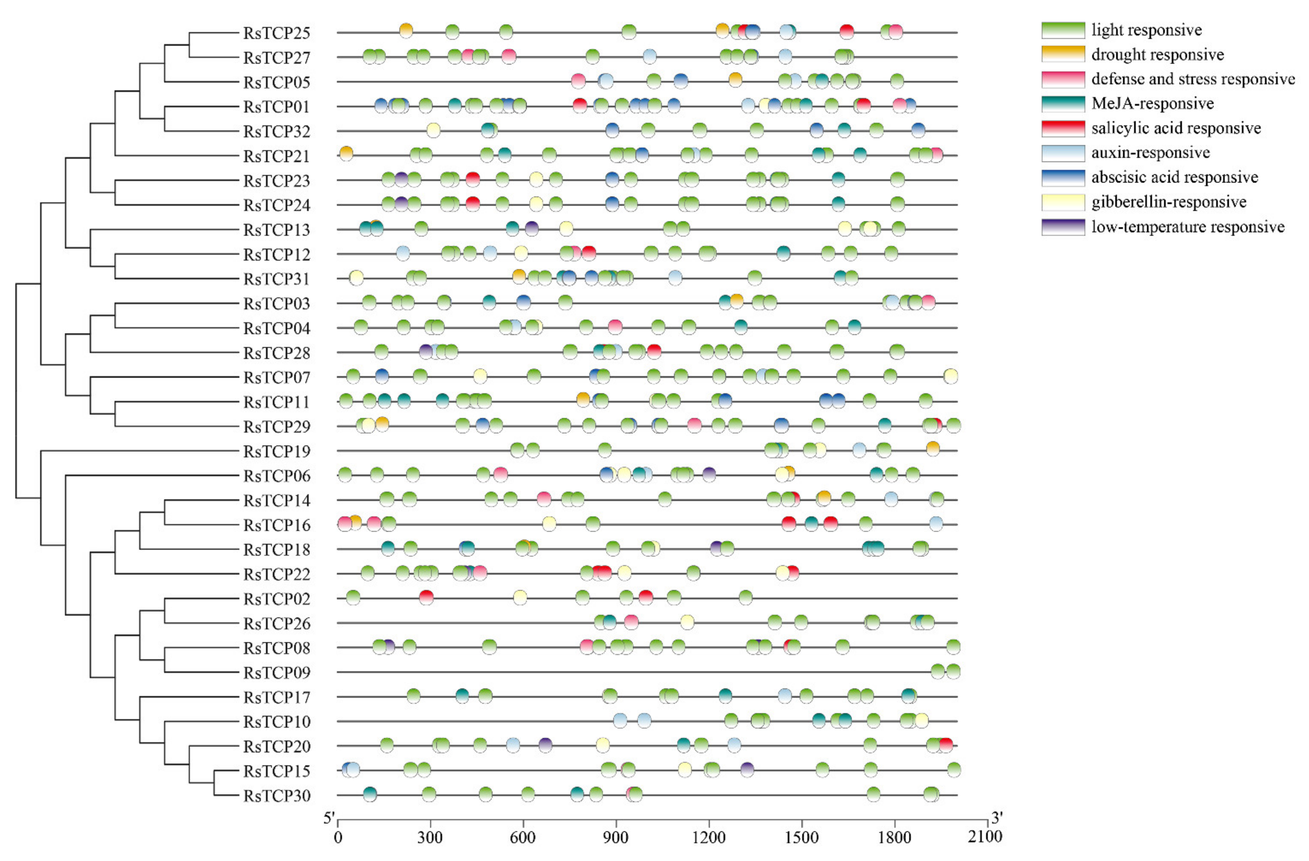 Horticulturae 08 00656 g003