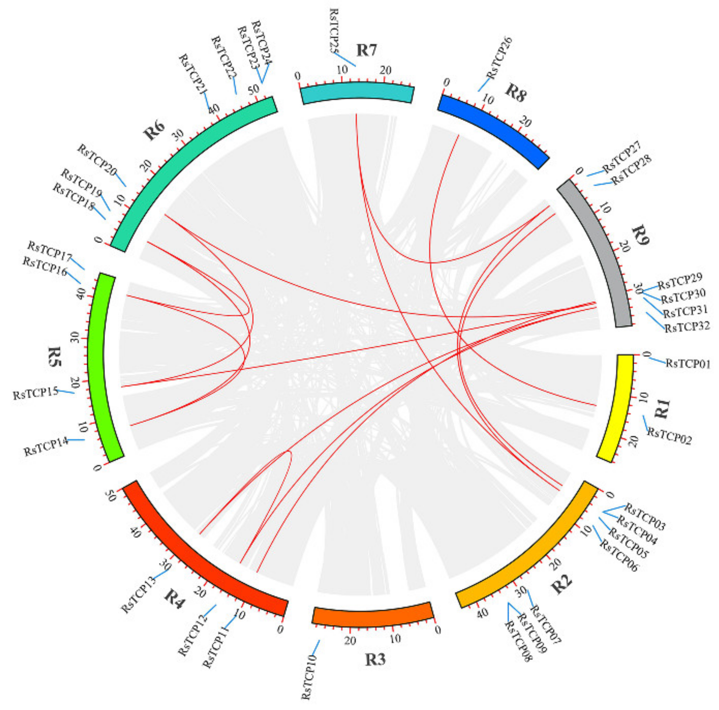 Horticulturae 08 00656 g004