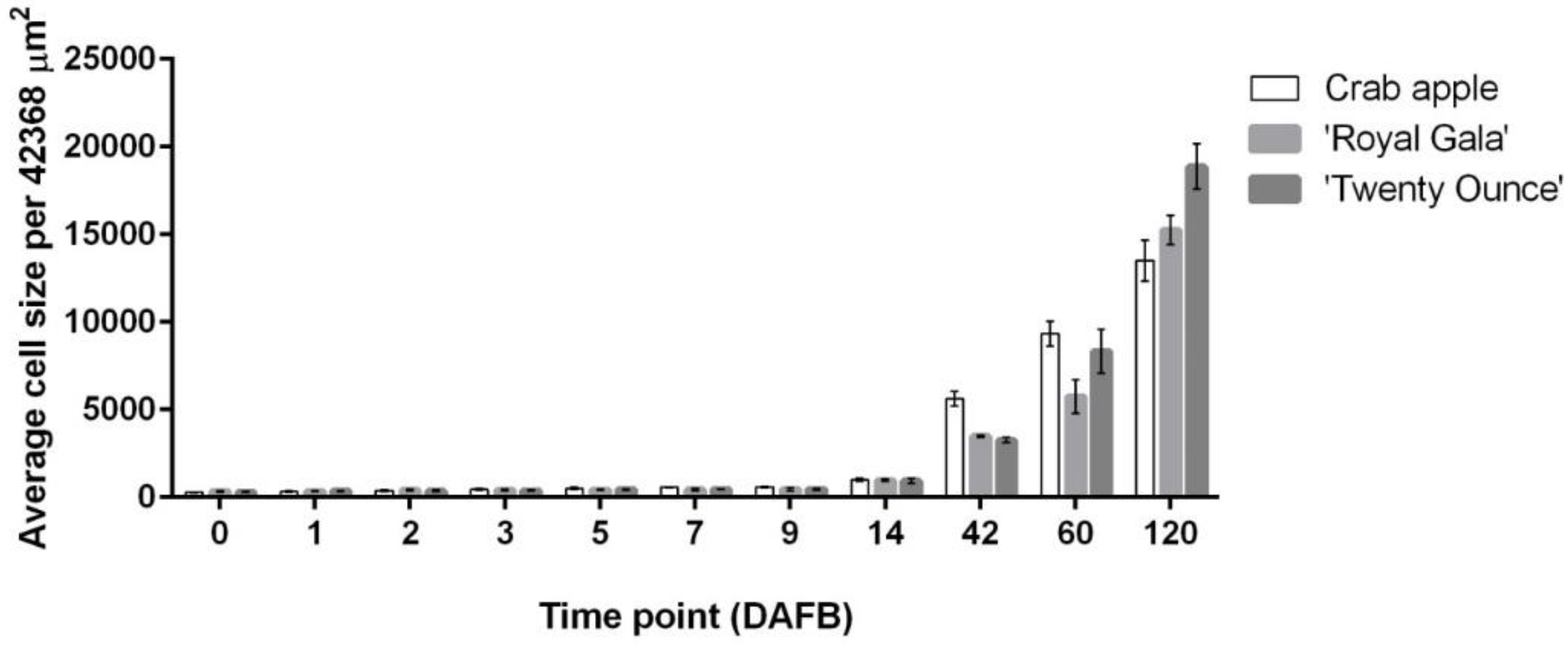 Horticulturae 08 00657 g003