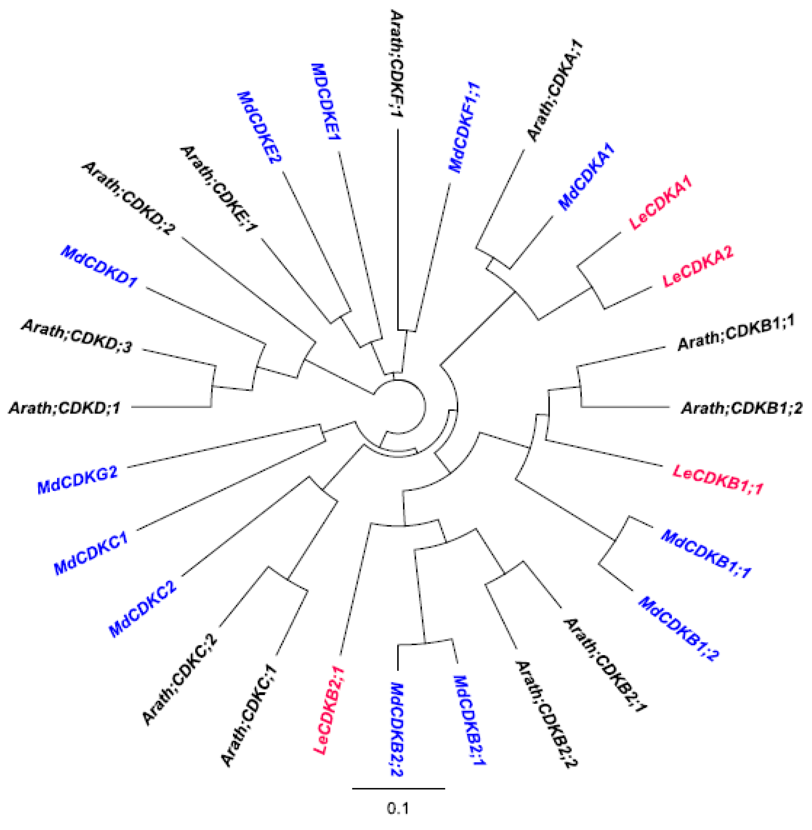 Horticulturae 08 00657 g011