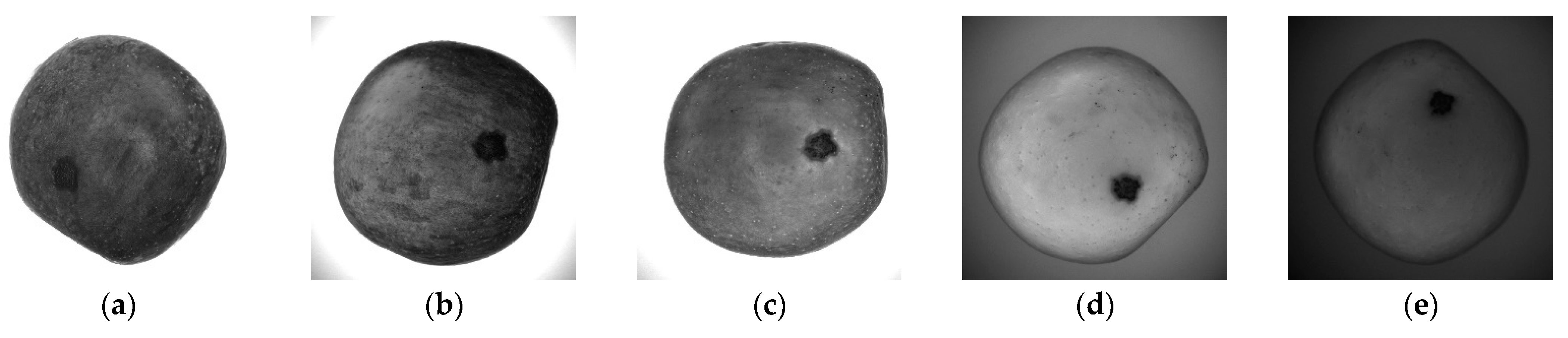 Horticulturae 08 00666 g002