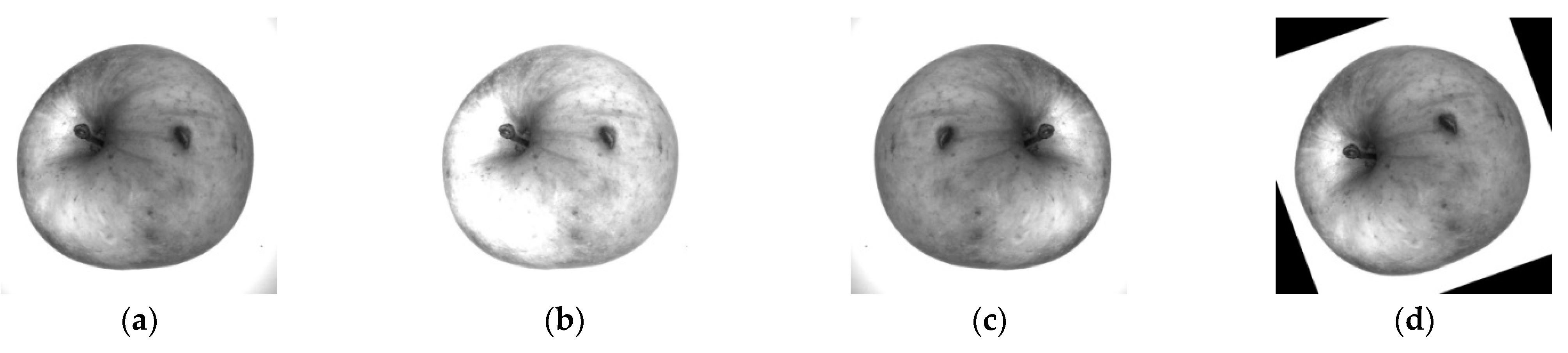 Horticulturae 08 00666 g004