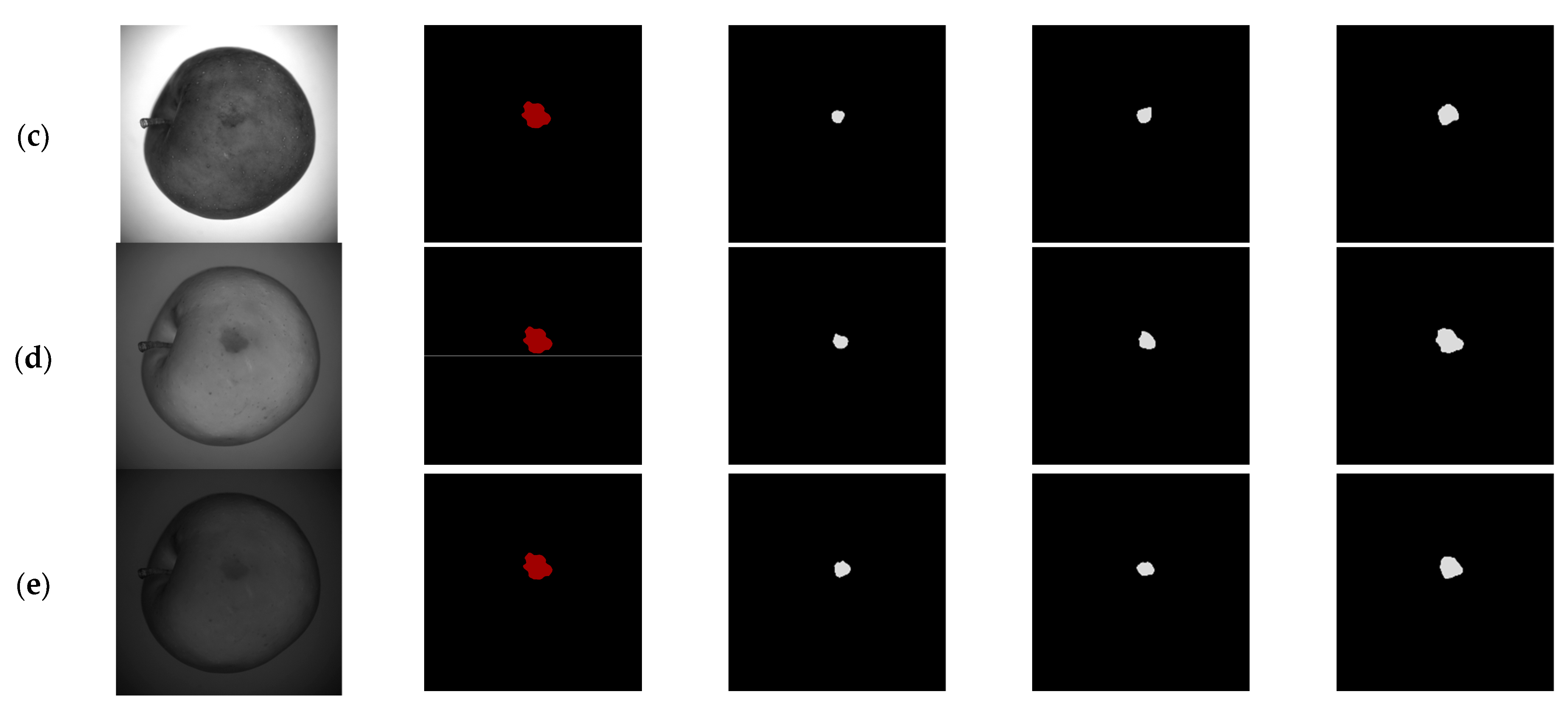 Horticulturae 08 00666 g013b
