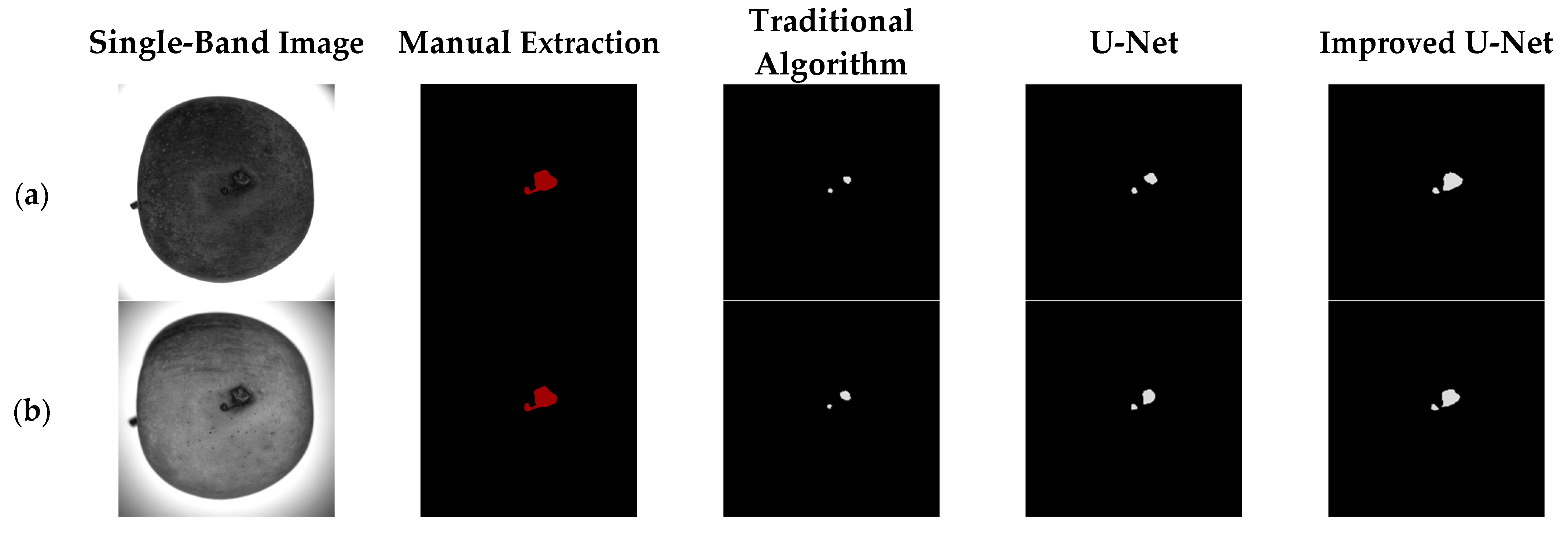Horticulturae 08 00666 g014a