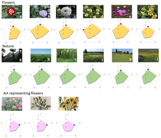 Horticulturae 08 00668 g001 550