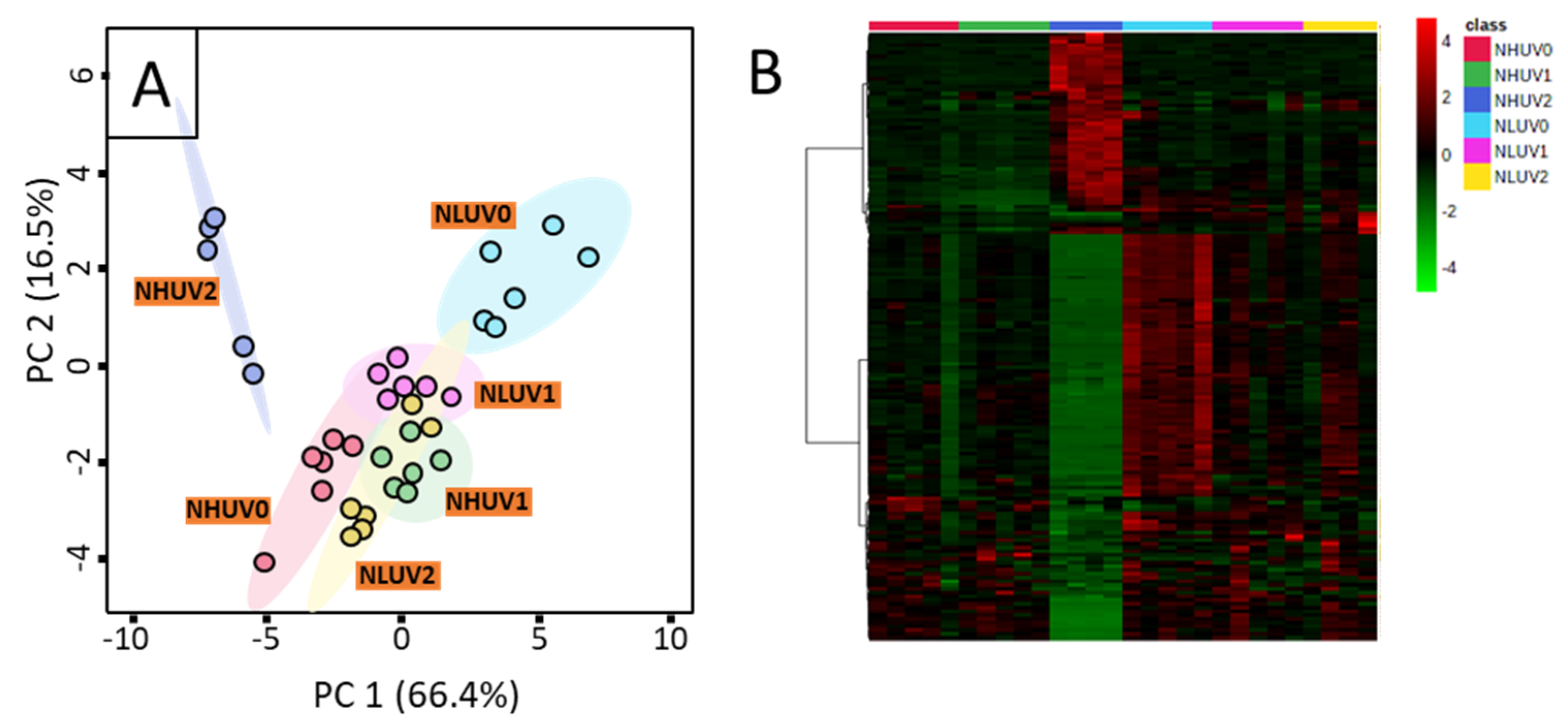 Horticulturae 08 00724 g002