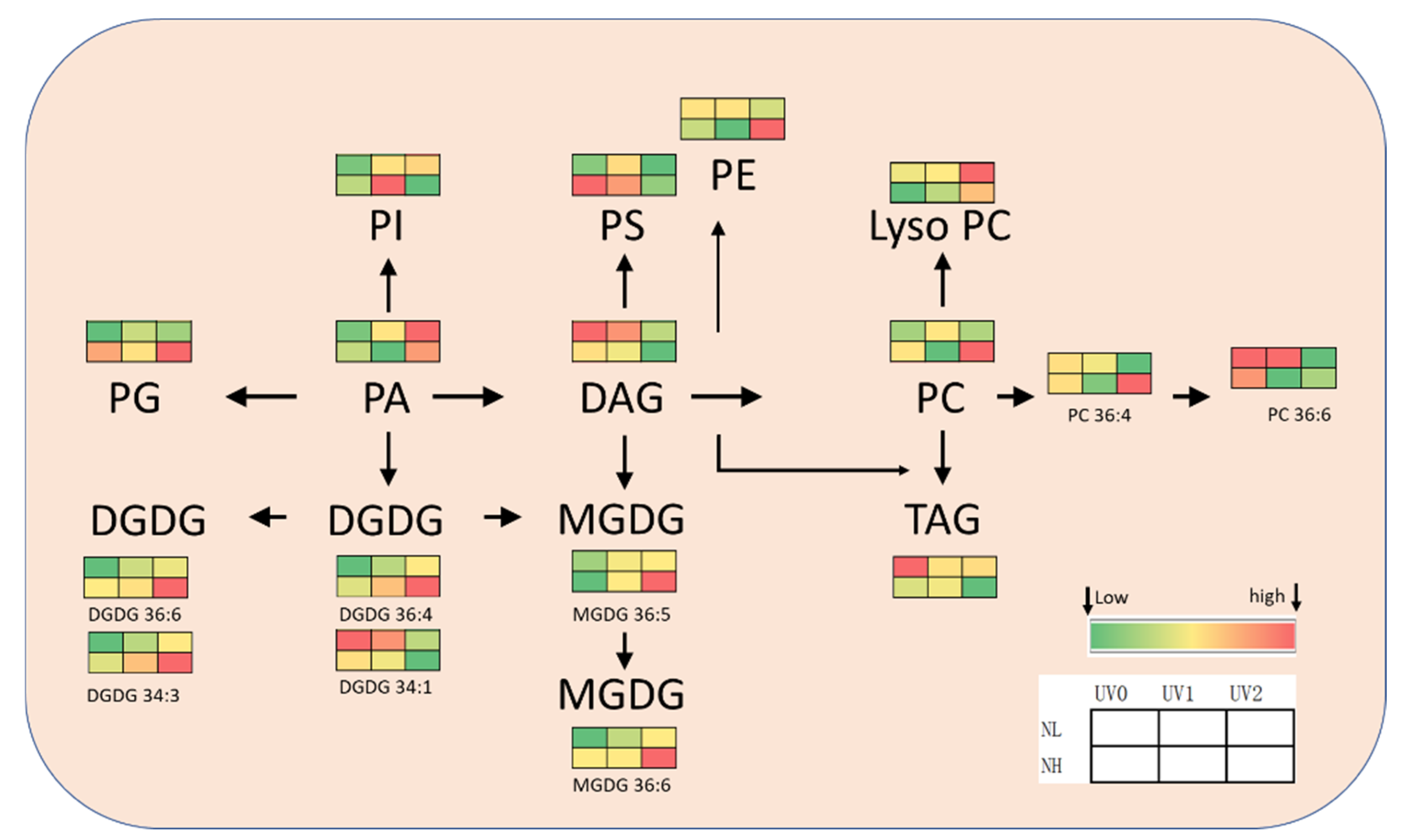 Horticulturae 08 00724 g006