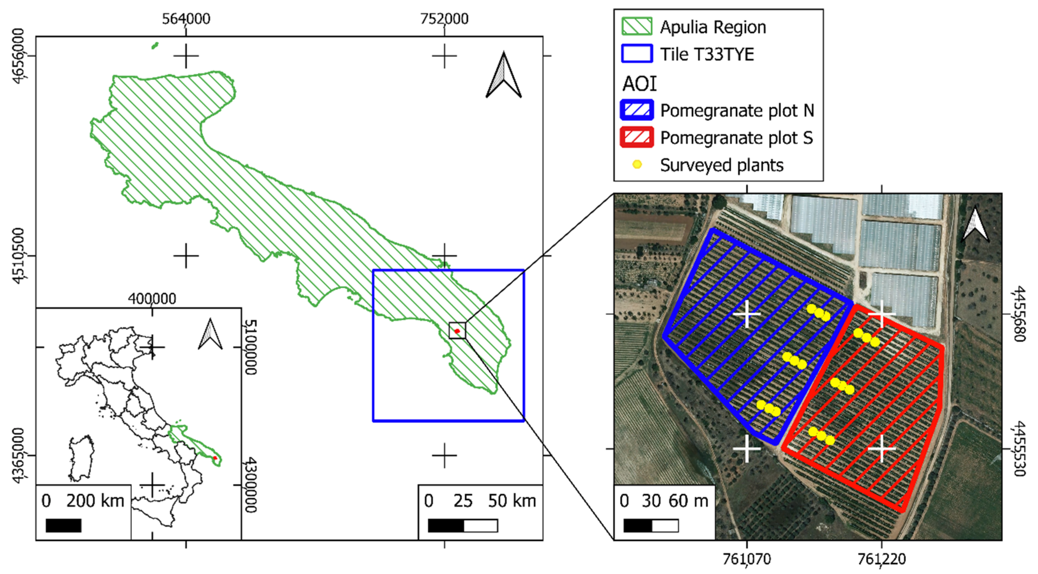 Horticulturae 08 00759 g001