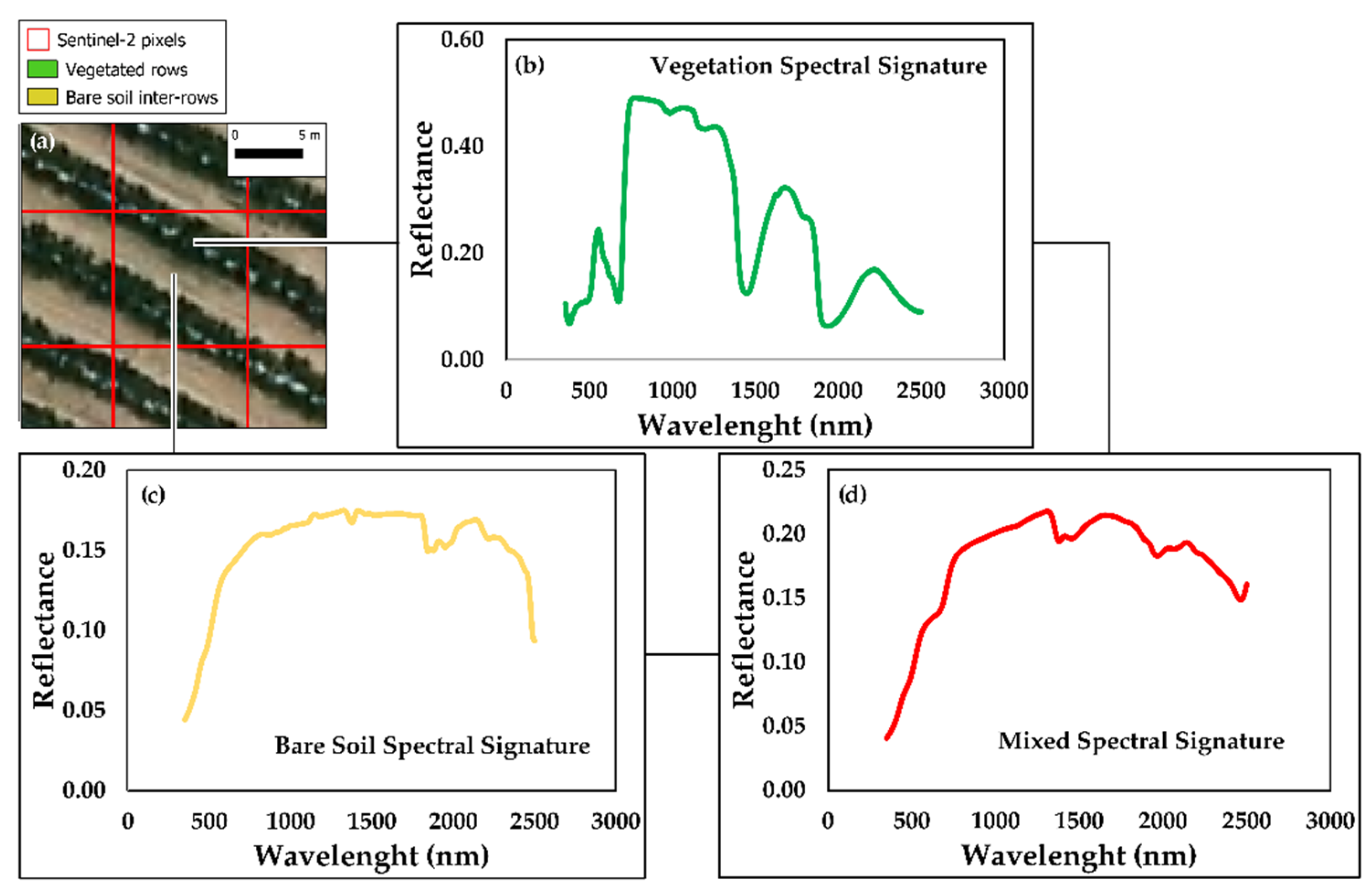 Horticulturae 08 00759 g002