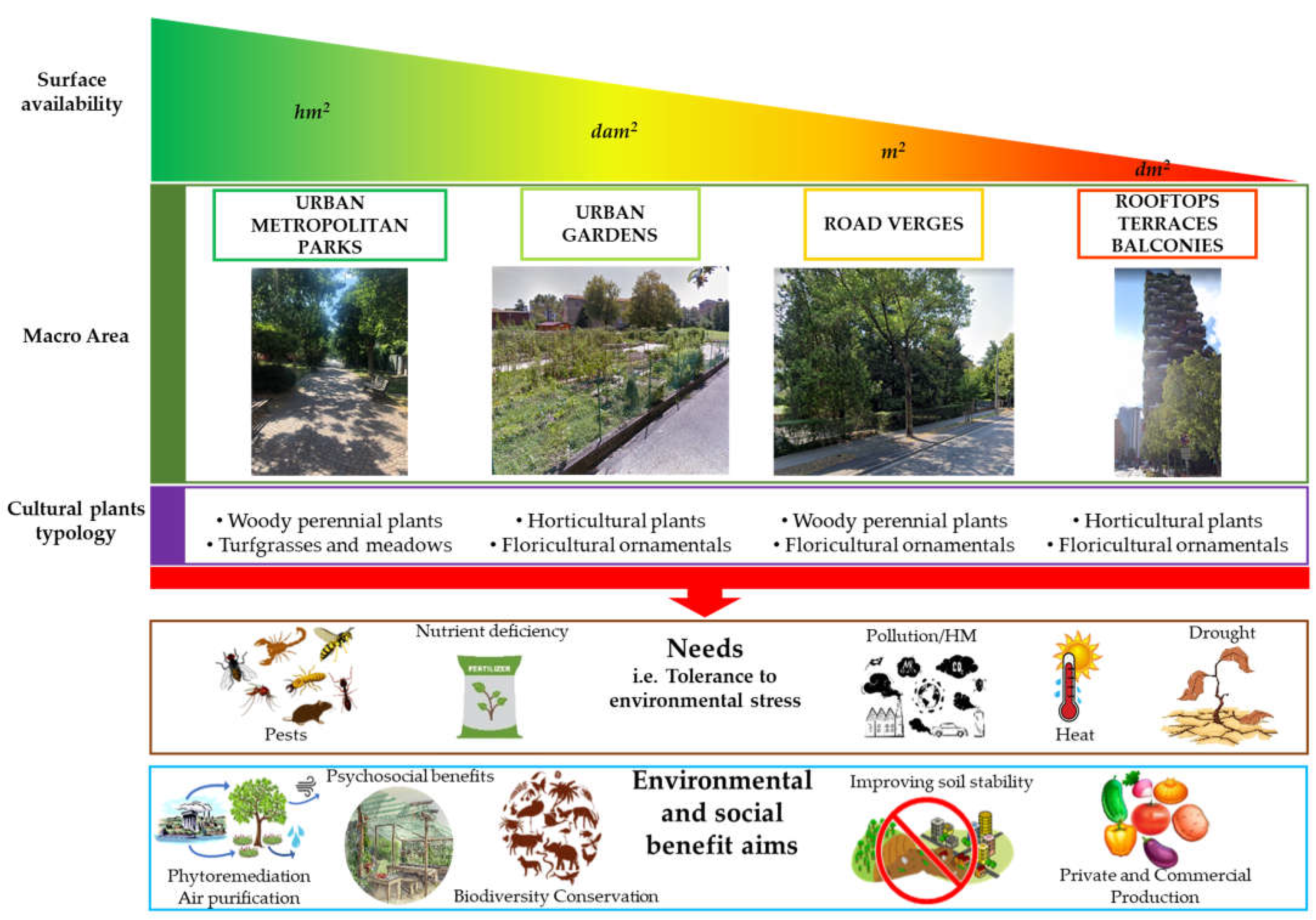 Horticulturae 08 00761 g001