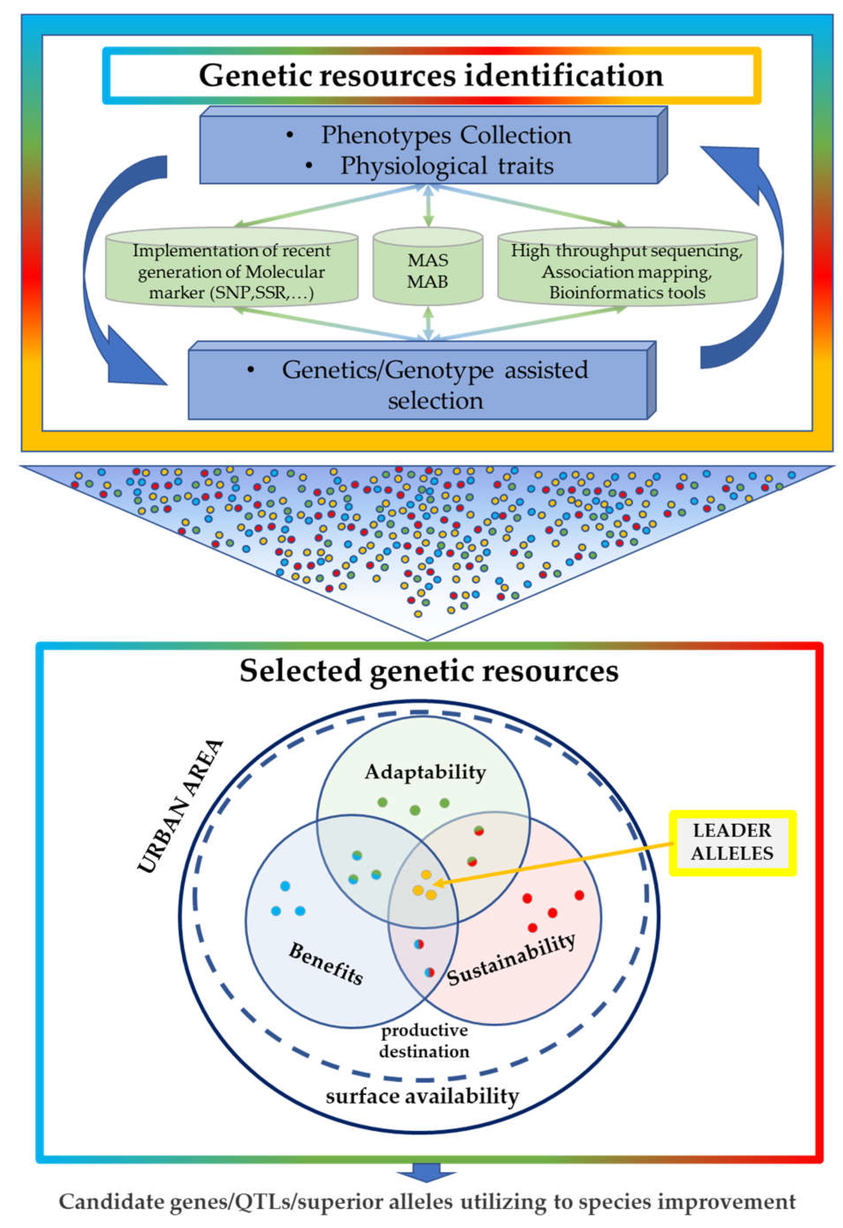 Horticulturae 08 00761 g002