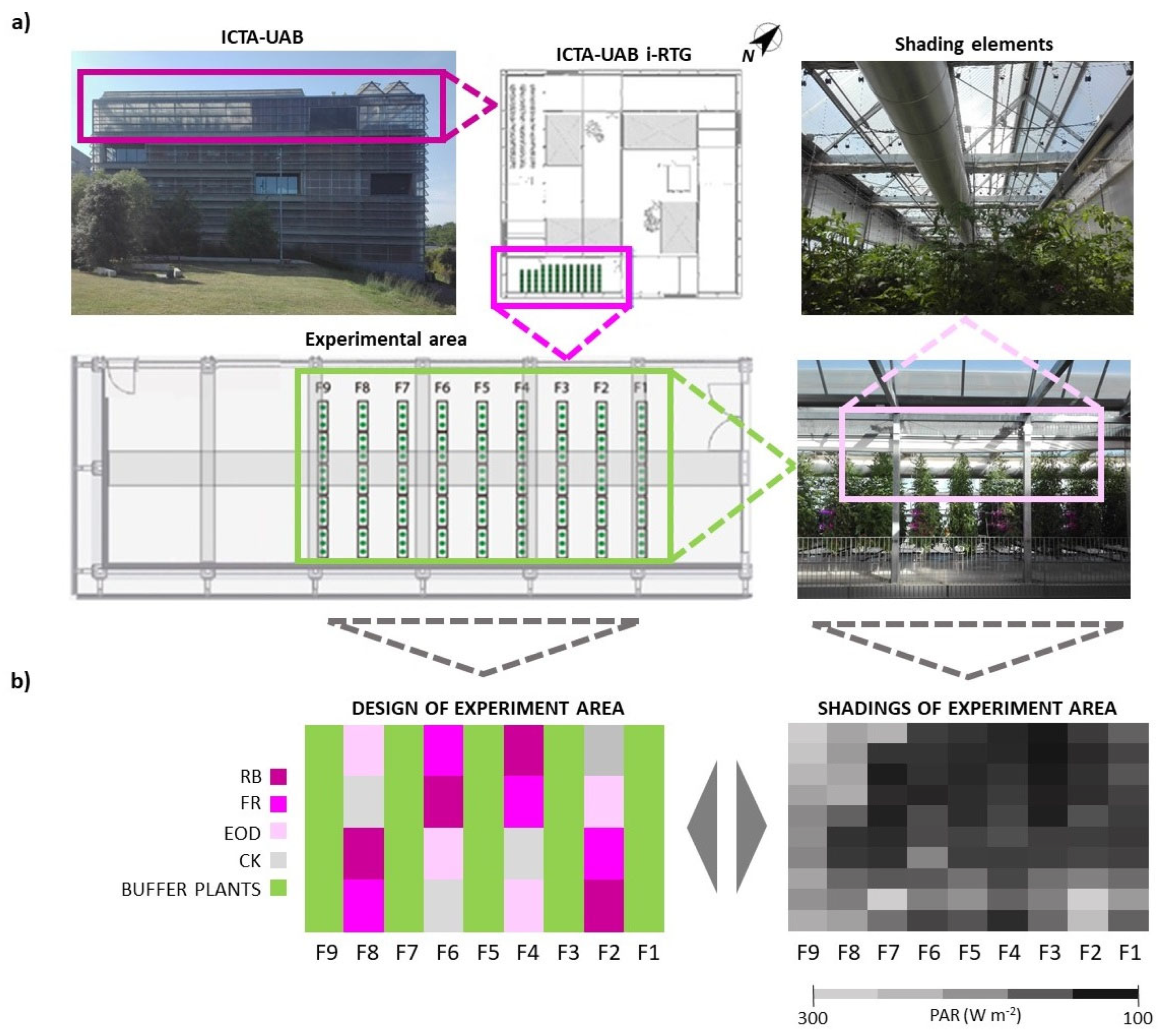 Horticulturae 08 00771 g001